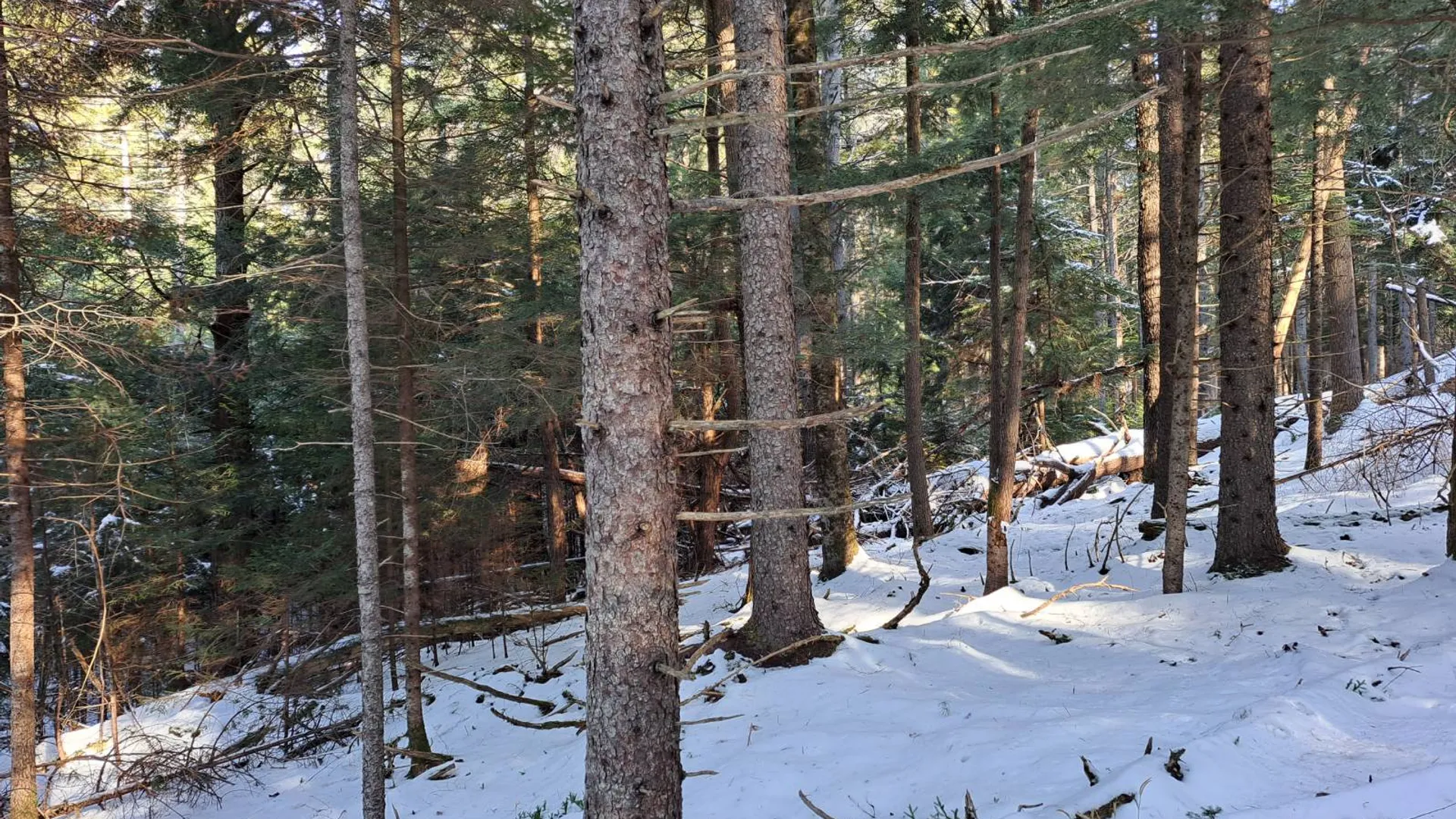 Property at L 17 Rice Road, Hope, NY 12134 35