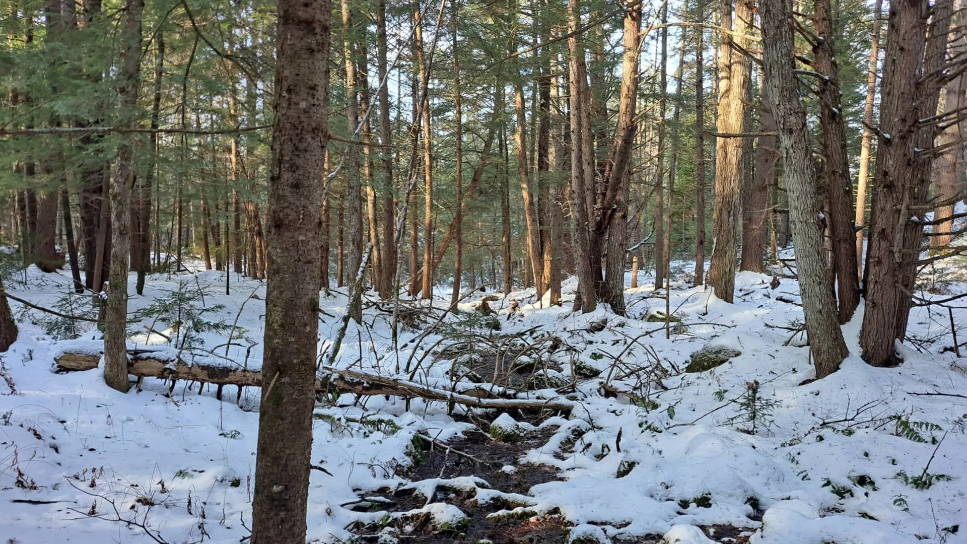 Property at L 17 Rice Road, Hope, NY 12134 36