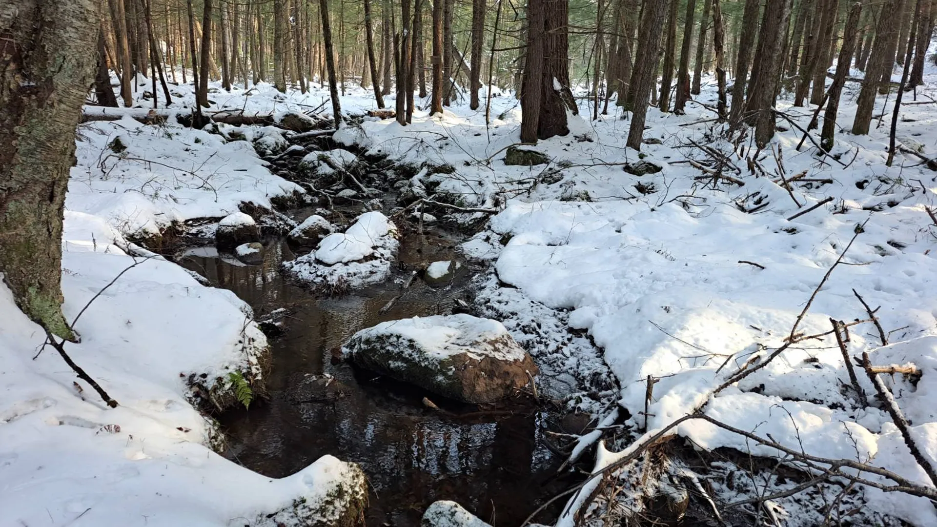 Property at L 17 Rice Road, Hope, NY 12134 38