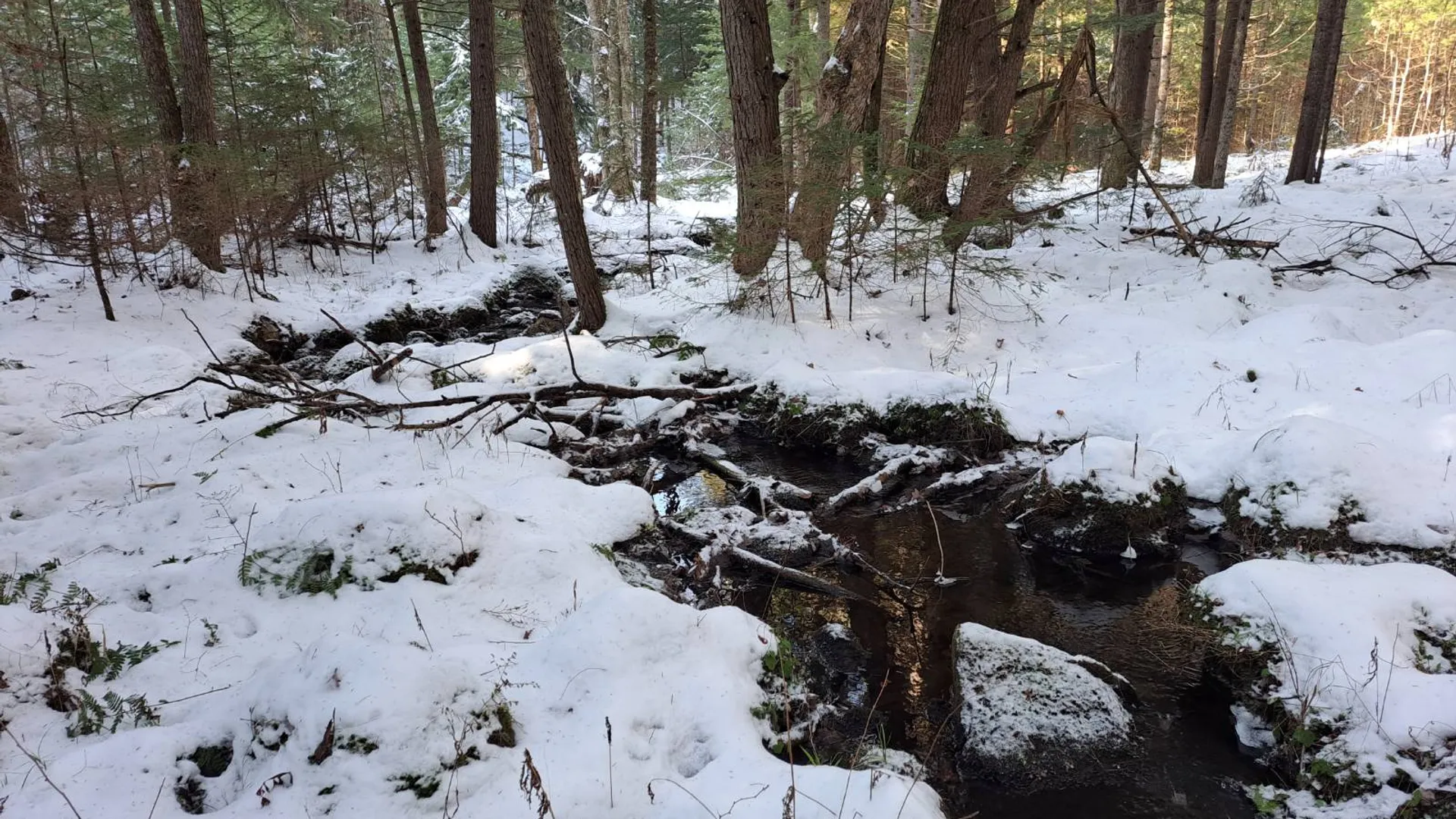 Property at L 17 Rice Road, Hope, NY 12134 39