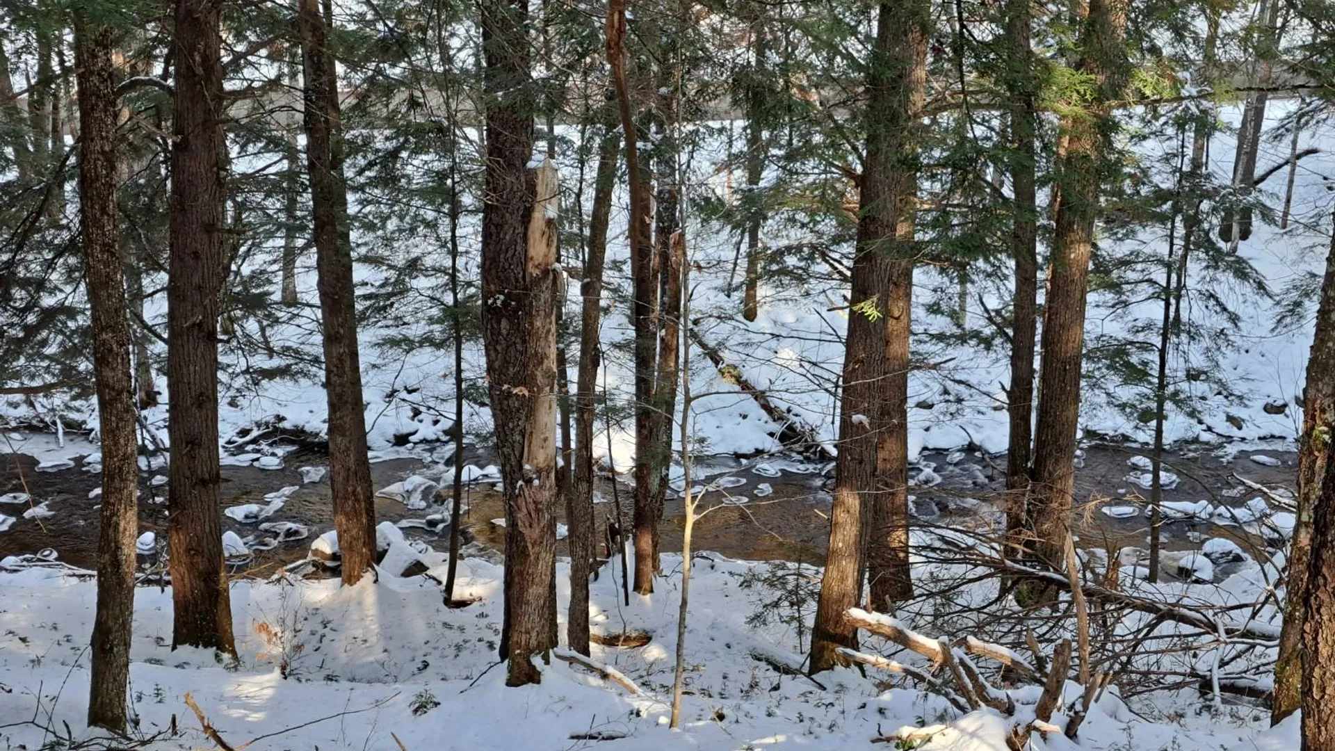 Property at L 17 Rice Road, Hope, NY 12134 4