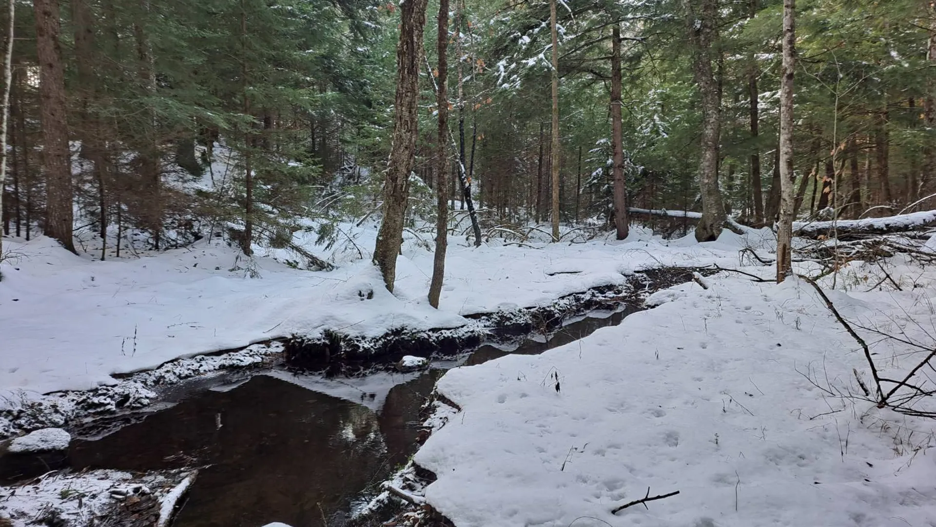 Property at L 17 Rice Road, Hope, NY 12134 40