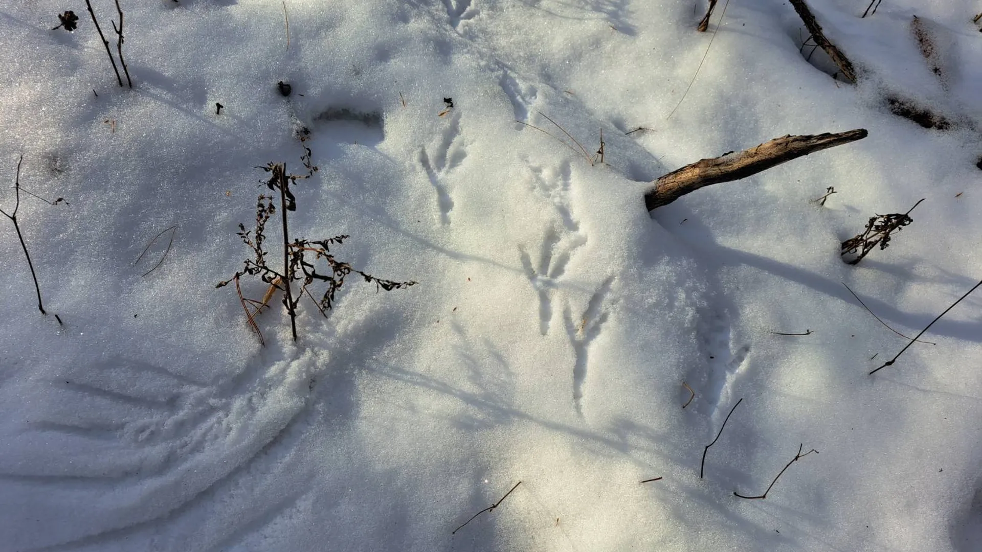 Property at L 17 Rice Road, Hope, NY 12134 43