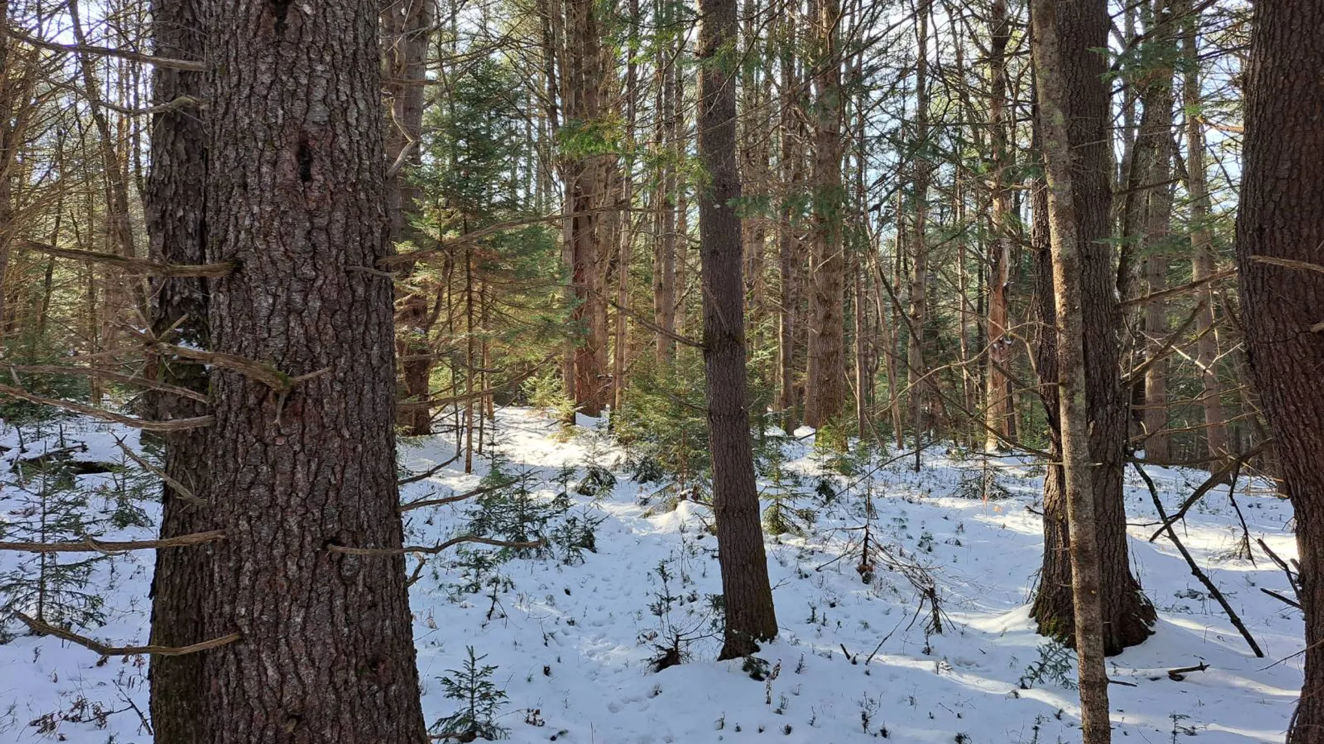Property at L 17 Rice Road, Hope, NY 12134 44