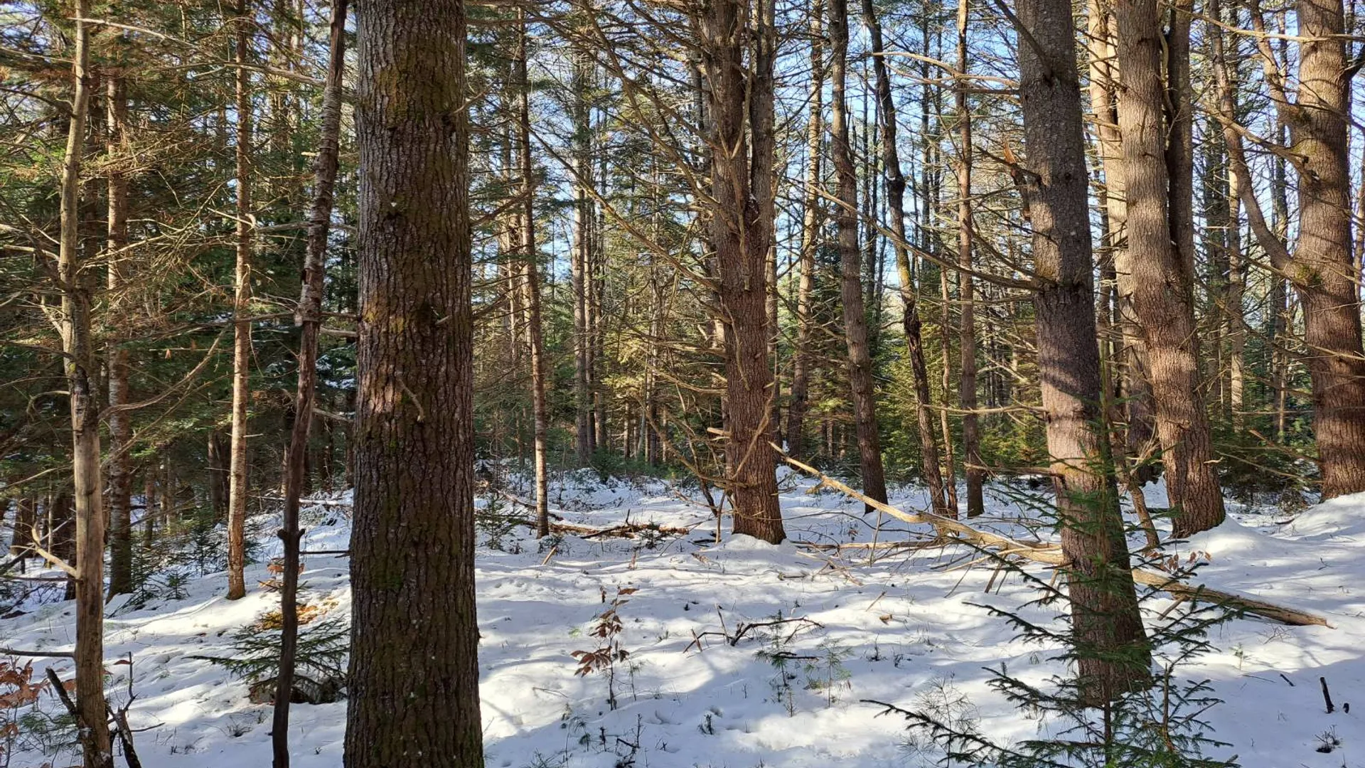 Property at L 17 Rice Road, Hope, NY 12134 46