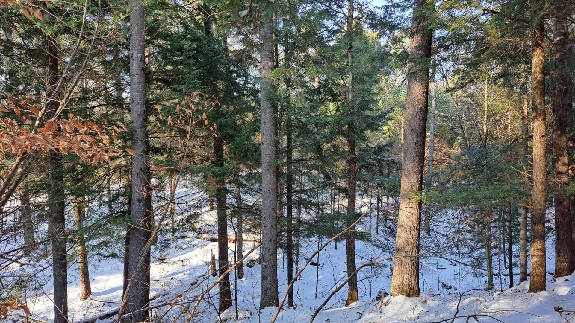 Property at L 17 Rice Road, Hope, NY 12134 47