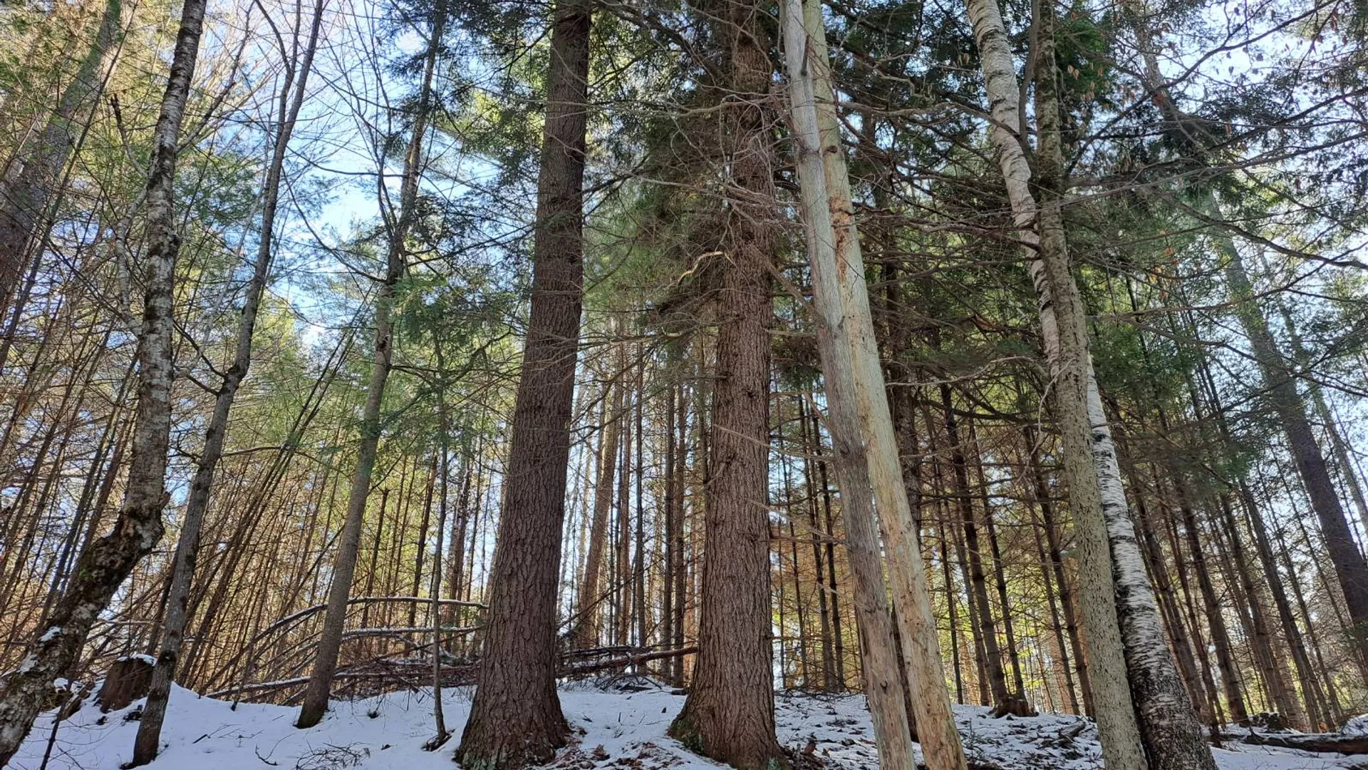 Property at L 17 Rice Road, Hope, NY 12134 48