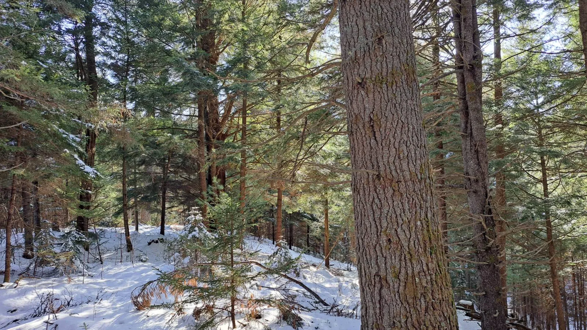 Property at L 17 Rice Road, Hope, NY 12134 49