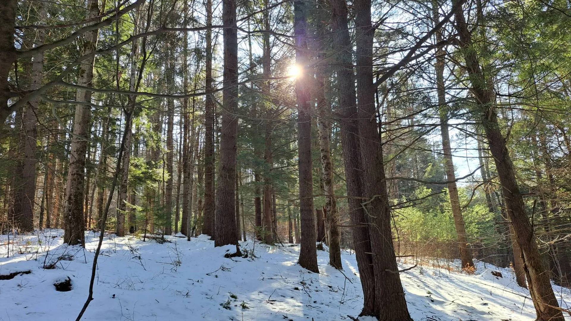 Property at L 17 Rice Road, Hope, NY 12134 5