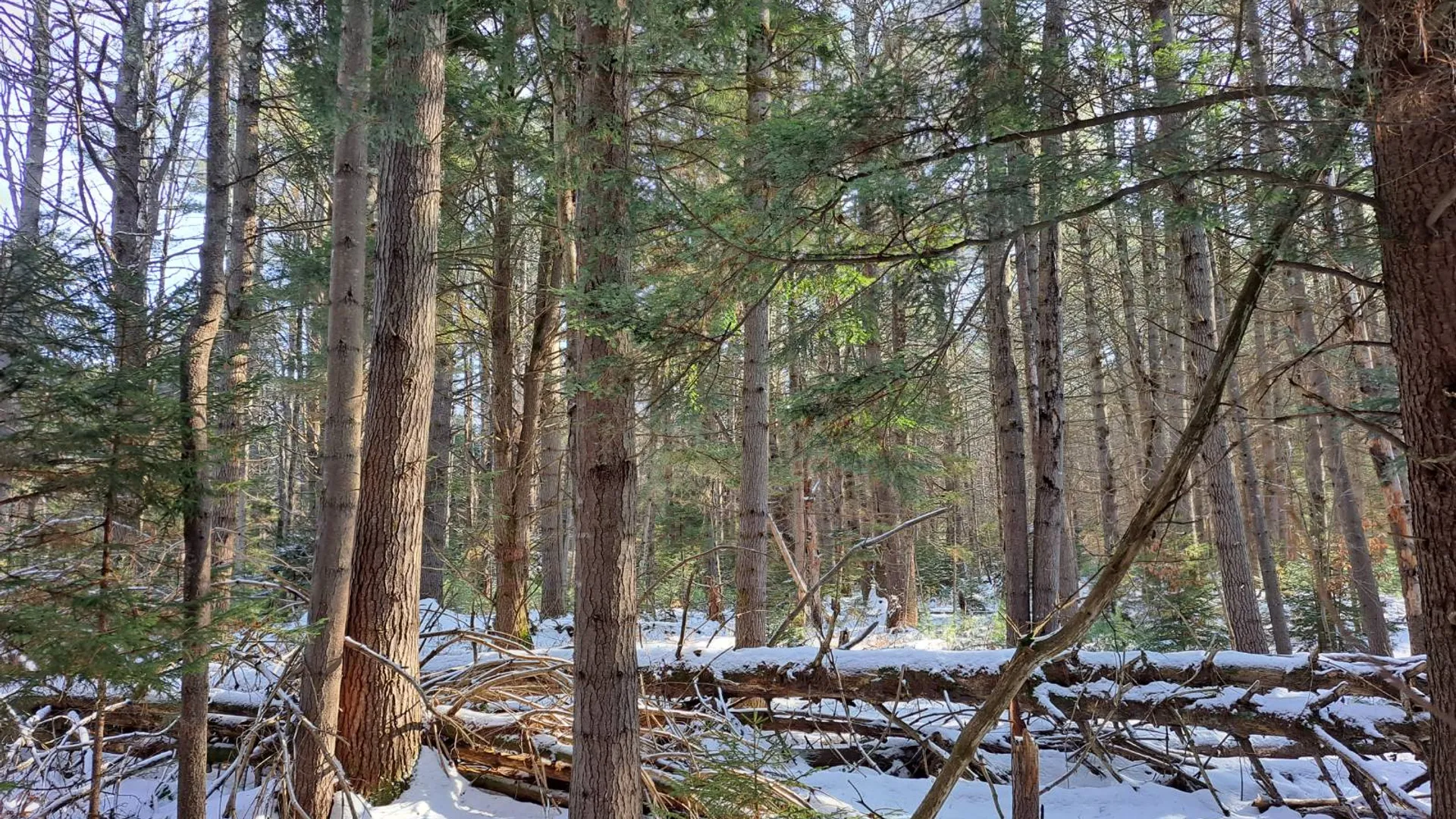 Property at L 17 Rice Road, Hope, NY 12134 50