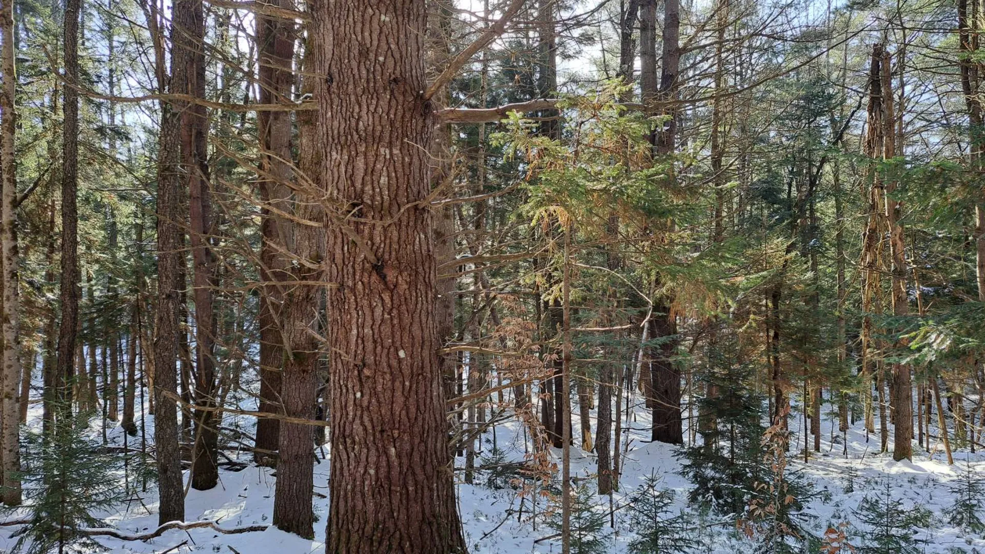 Property at L 17 Rice Road, Hope, NY 12134 51