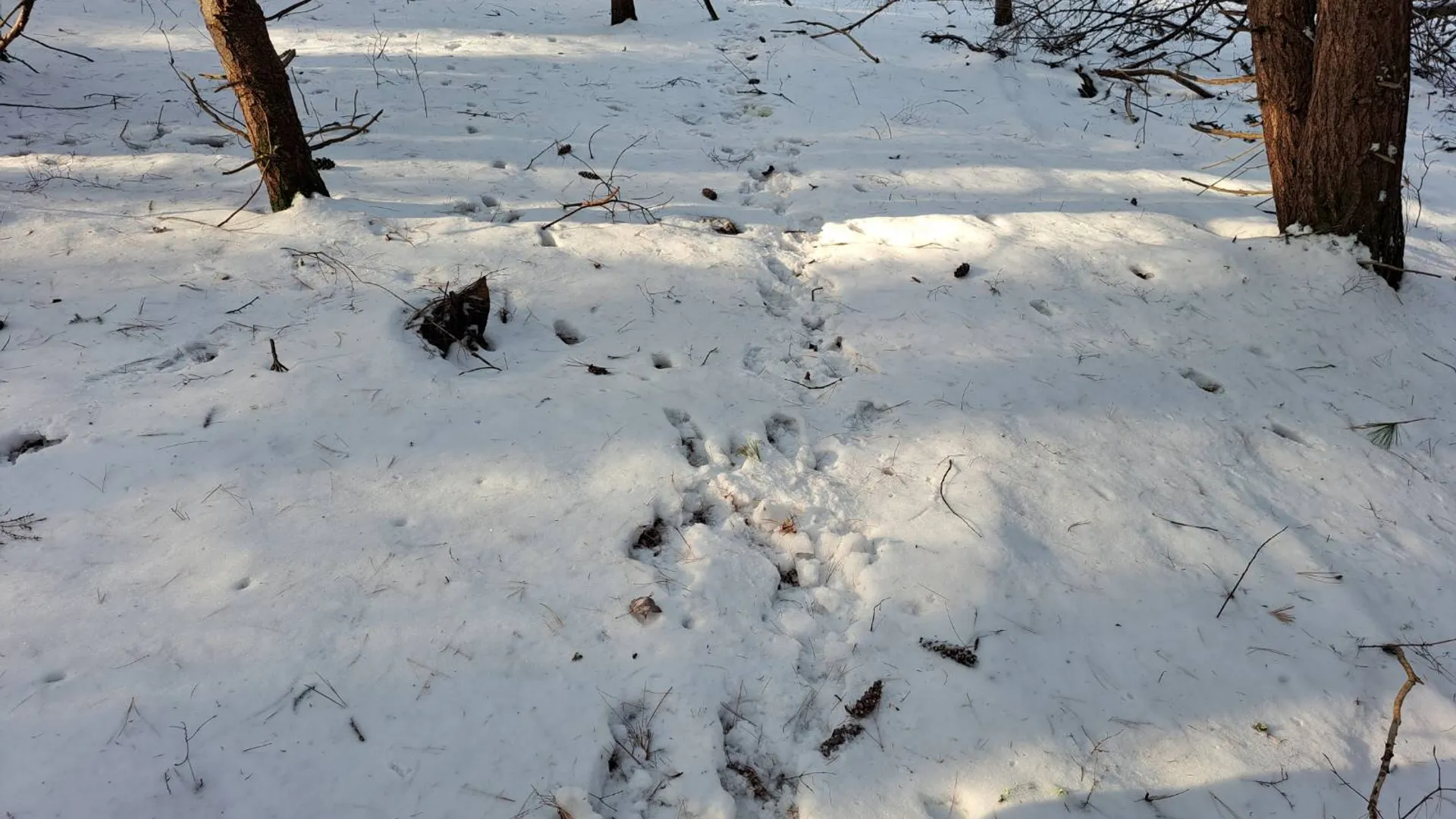 Property at L 17 Rice Road, Hope, NY 12134 52