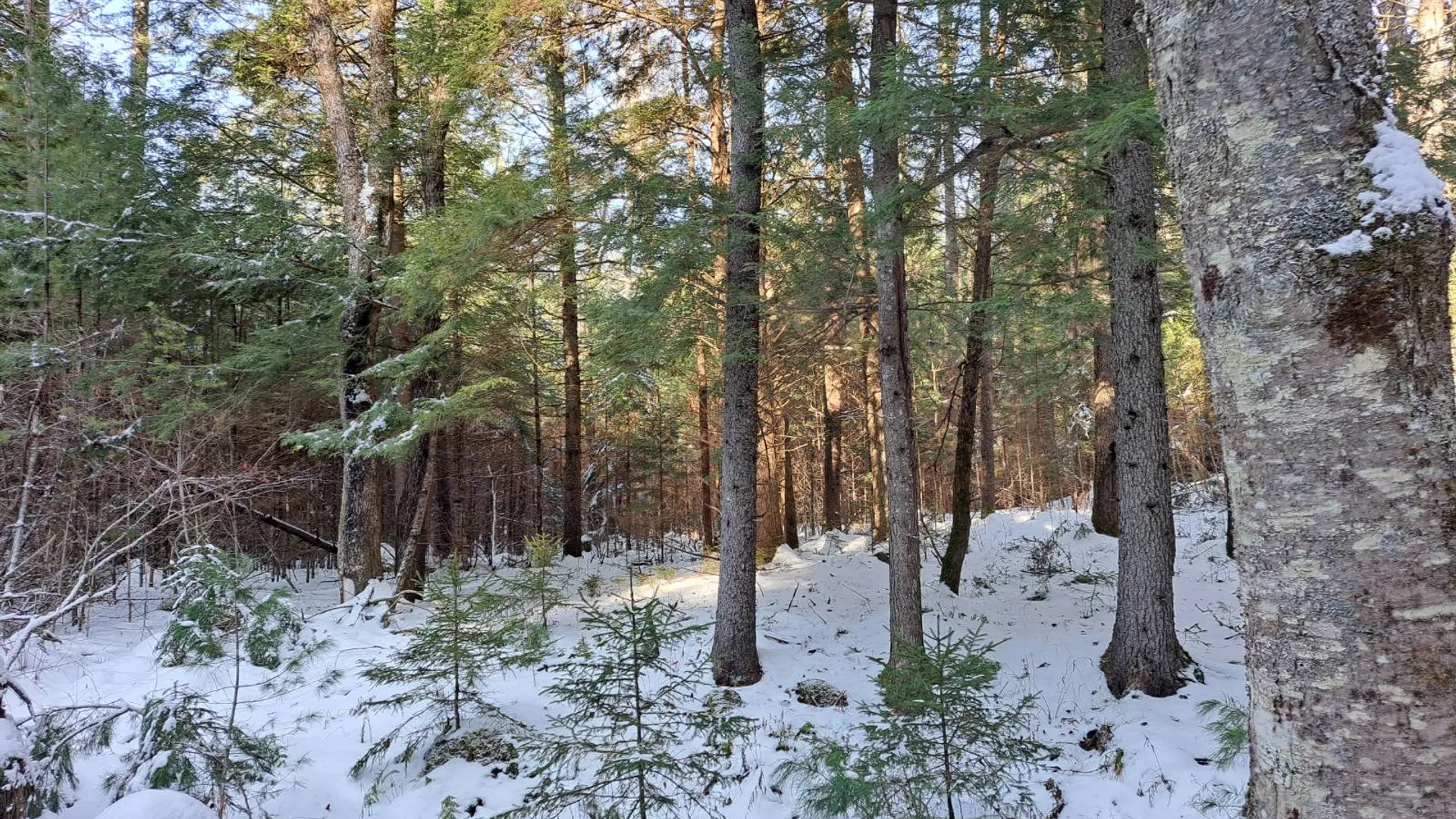 Property at L 17 Rice Road, Hope, NY 12134 53