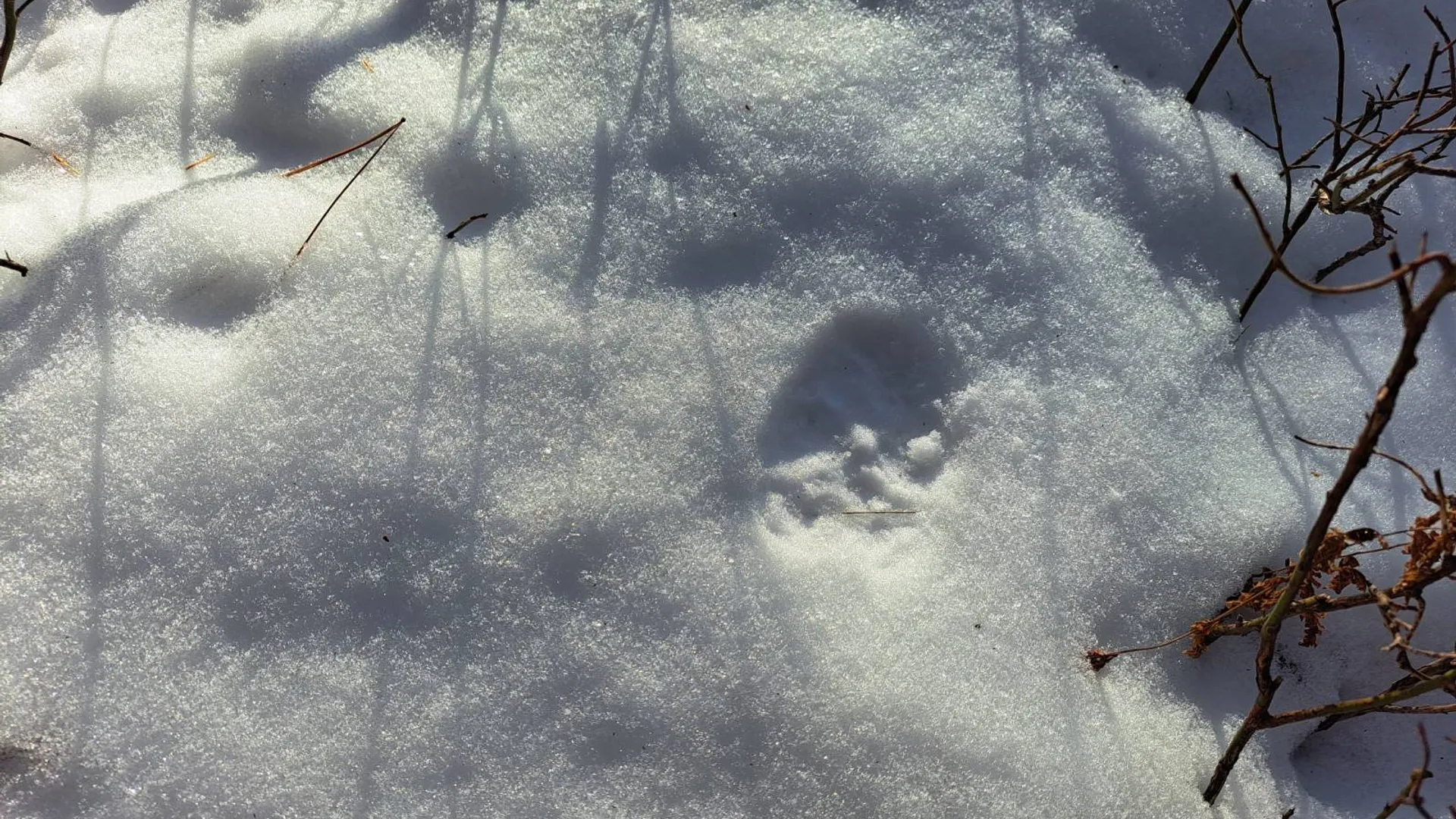 Property at L 17 Rice Road, Hope, NY 12134 6