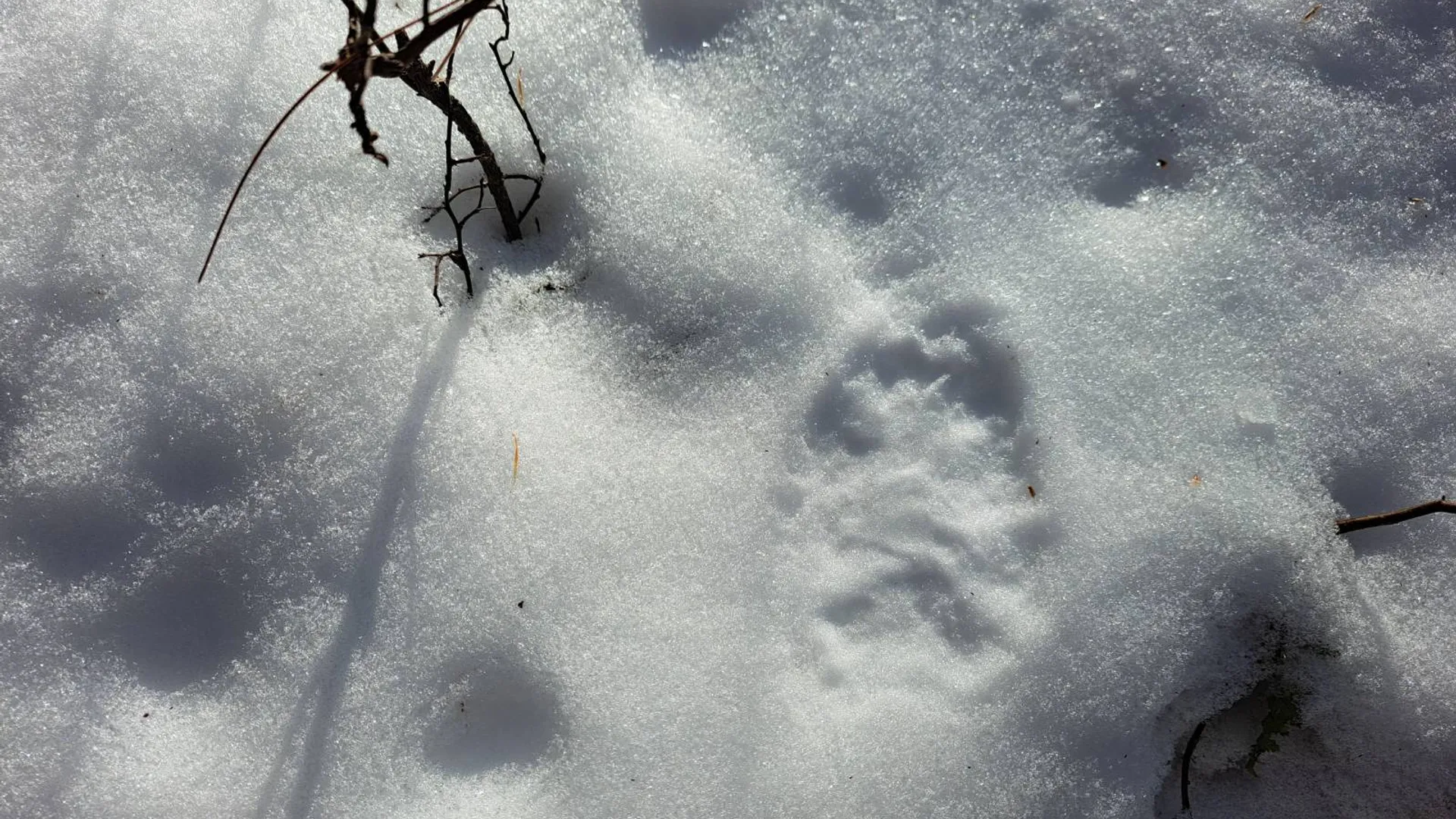 Property at L 17 Rice Road, Hope, NY 12134 7