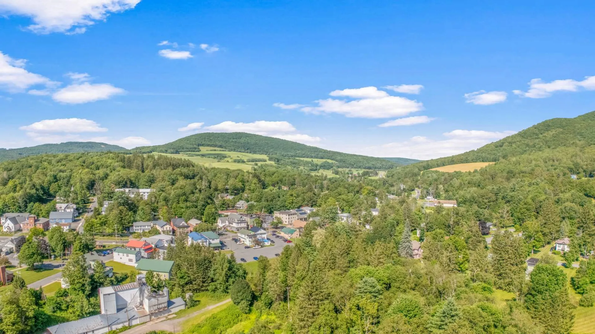 Property at 56 Main St, Stamford, NY 12167 9