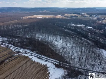 Property at 0 Dolloff Road, Poland, NY 14701