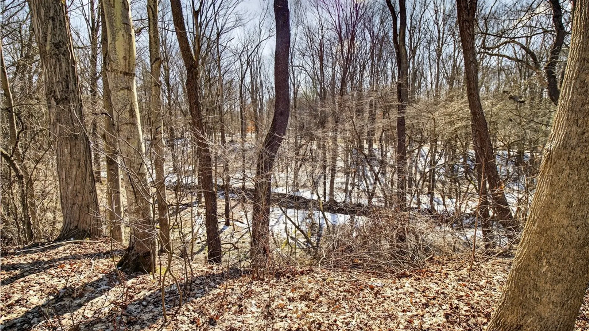 Property at 131 Sturdevant Road, Kiantone, NY 14701 40