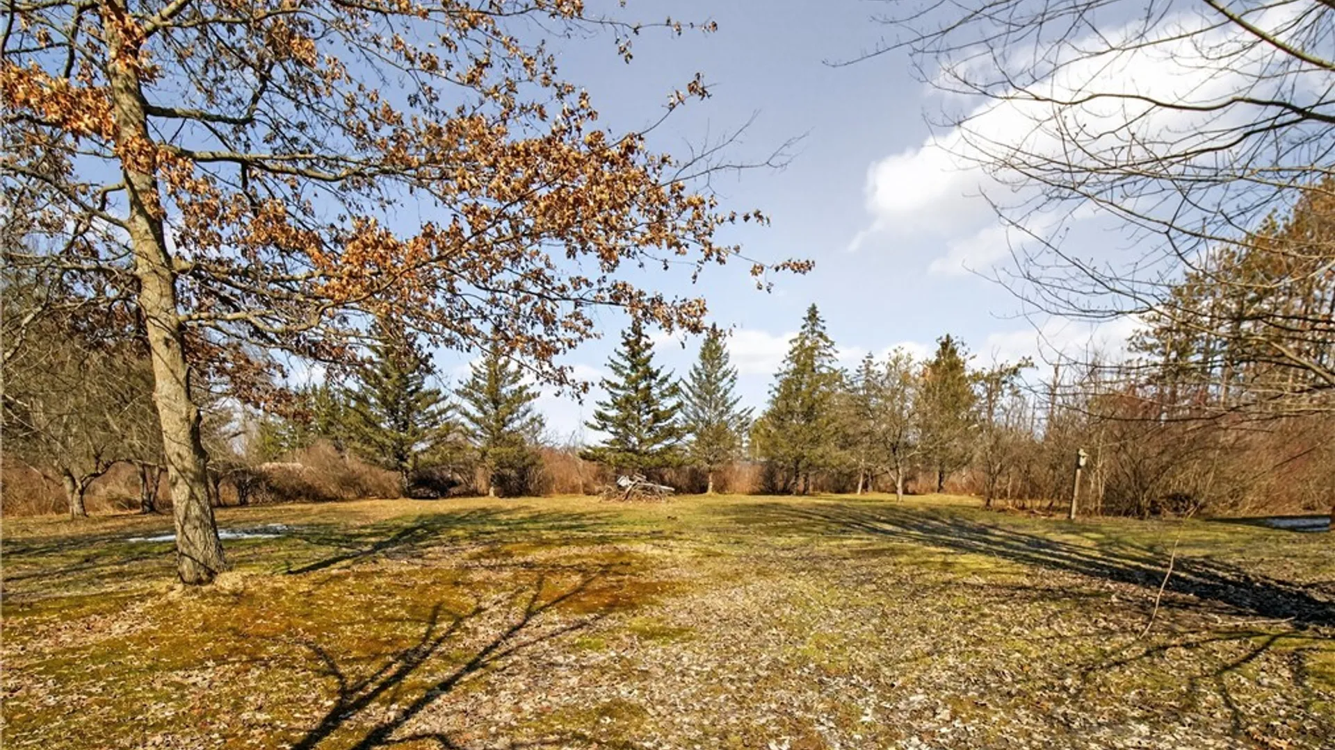 Property at 131 Sturdevant Road, Kiantone, NY 14701 45