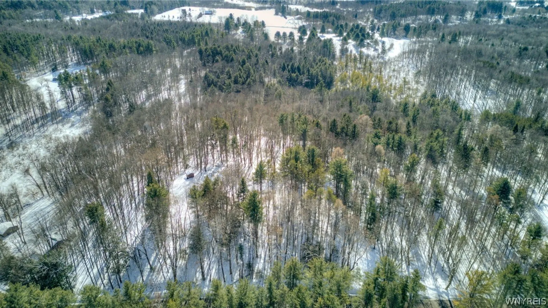 Property at 13357 Ward Road, Holland, NY 14080 36