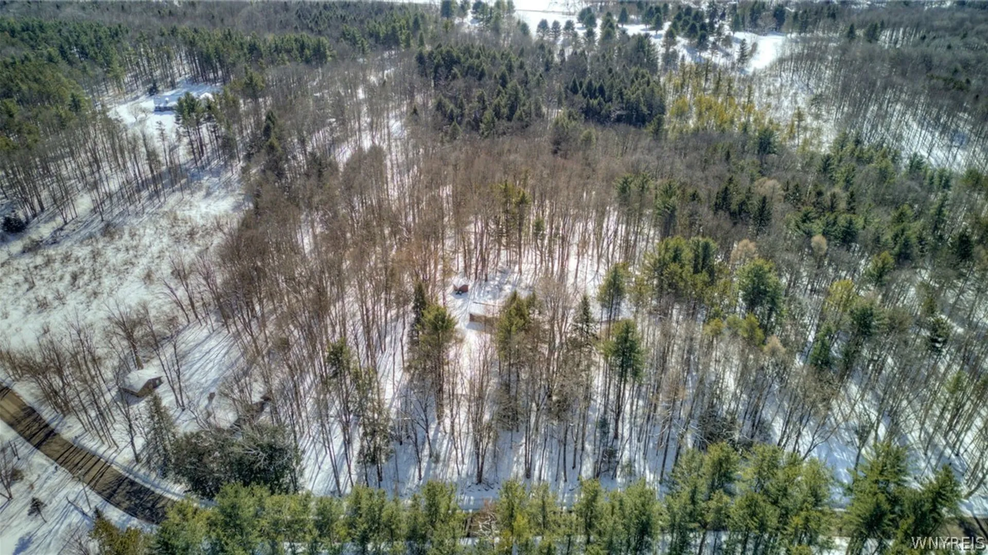 Property at 13357 Ward Road, Holland, NY 14080 5