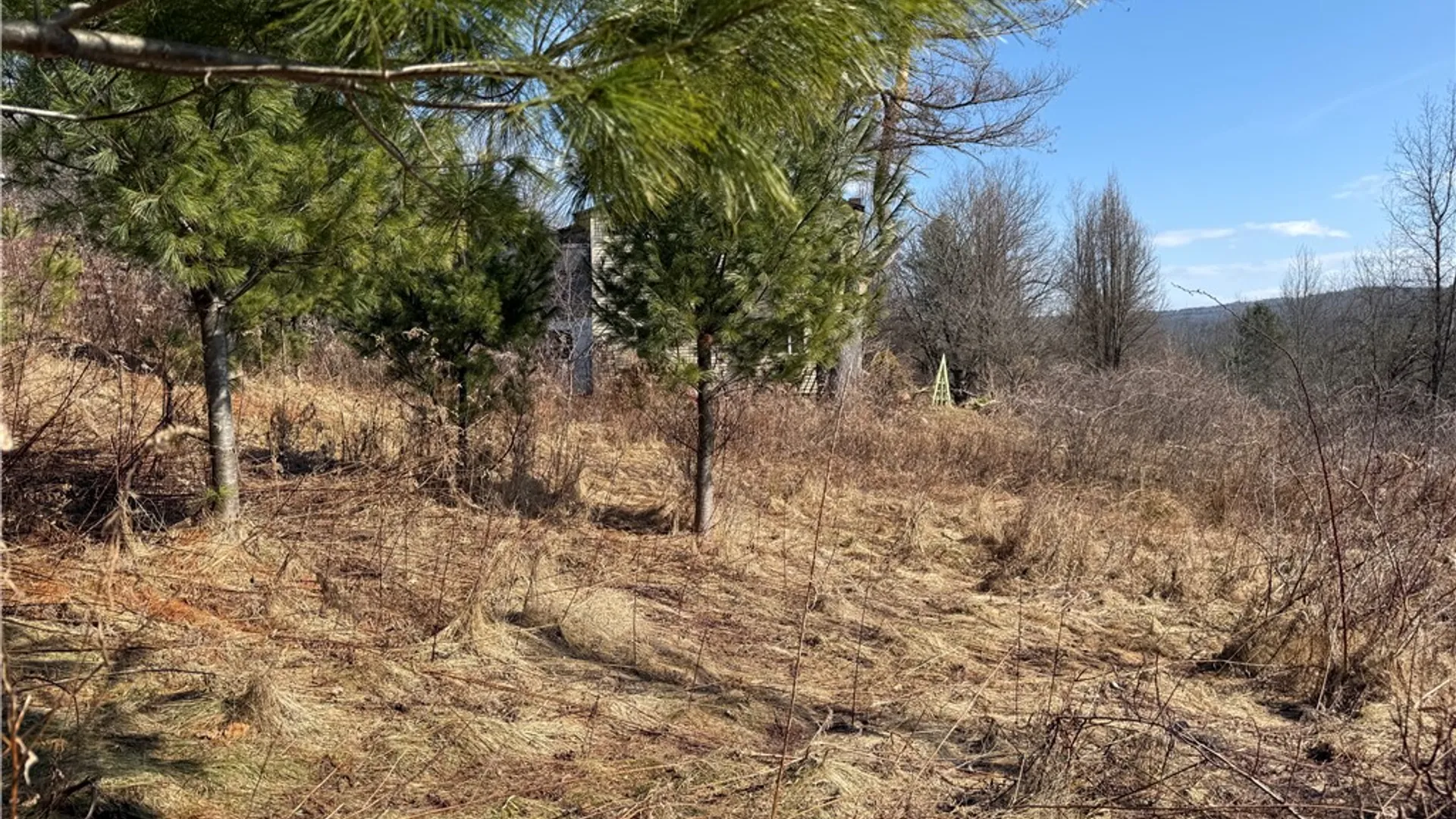 Property at 386 High Bridge Road, Guilford, NY 13809 31