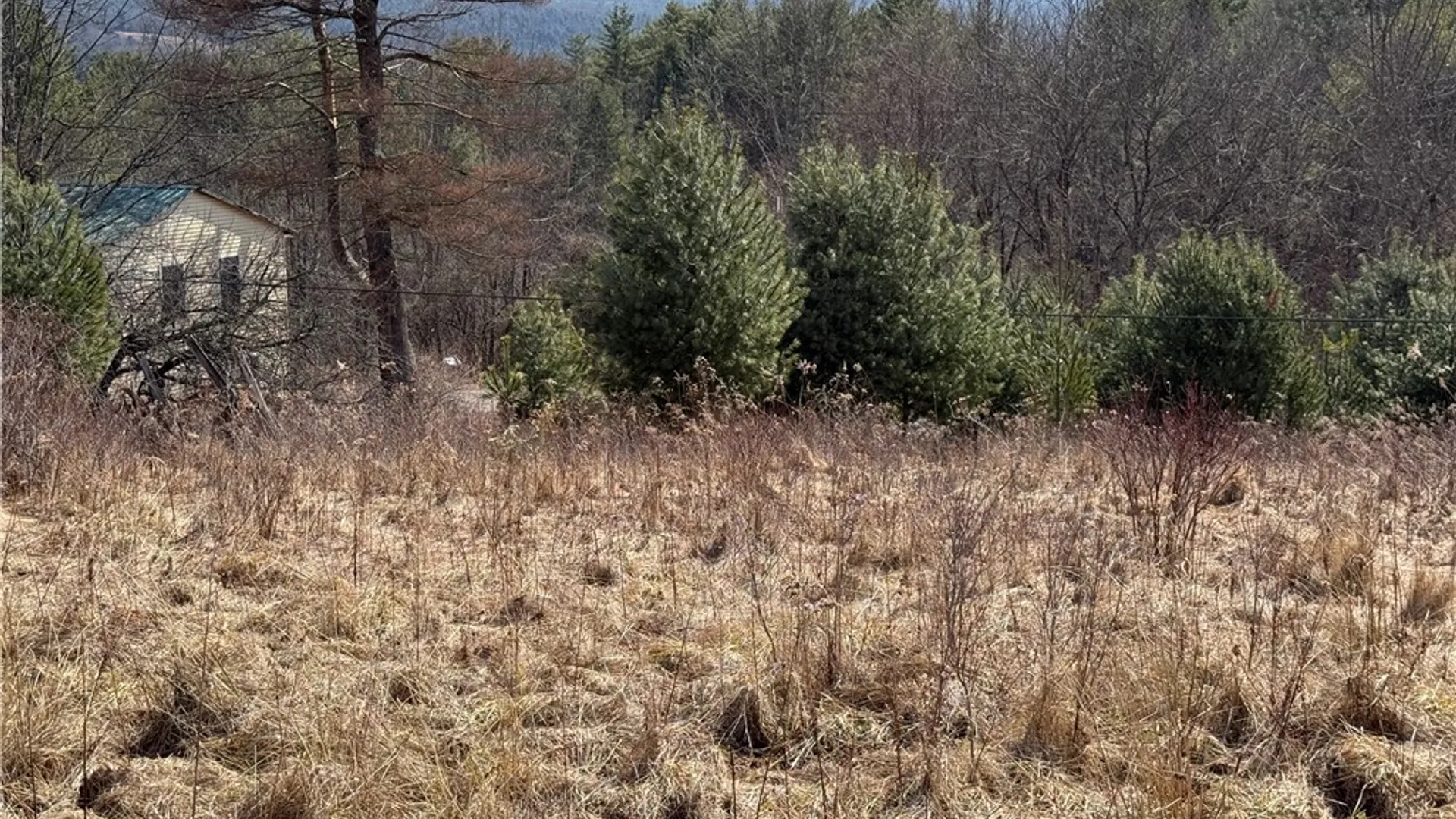 Property at 386 High Bridge Road, Guilford, NY 13809 32