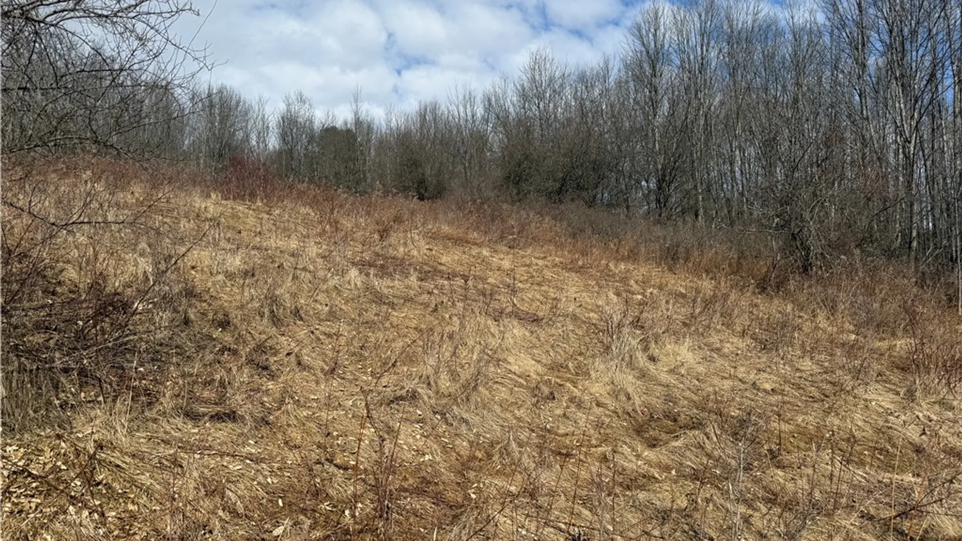 Property at 386 High Bridge Road, Guilford, NY 13809 37