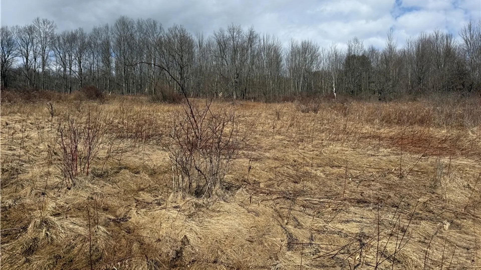 Property at 386 High Bridge Road, Guilford, NY 13809 38