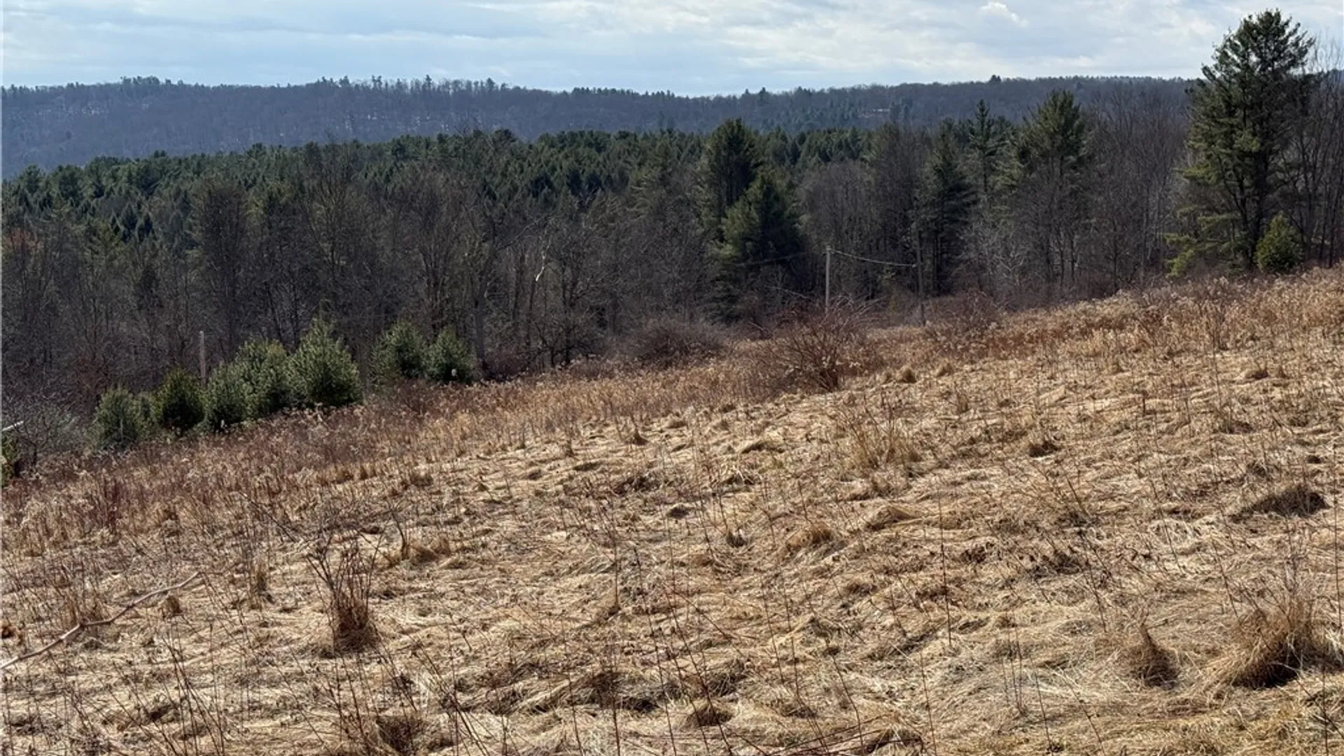 Property at 386 High Bridge Road, Guilford, NY 13809 4