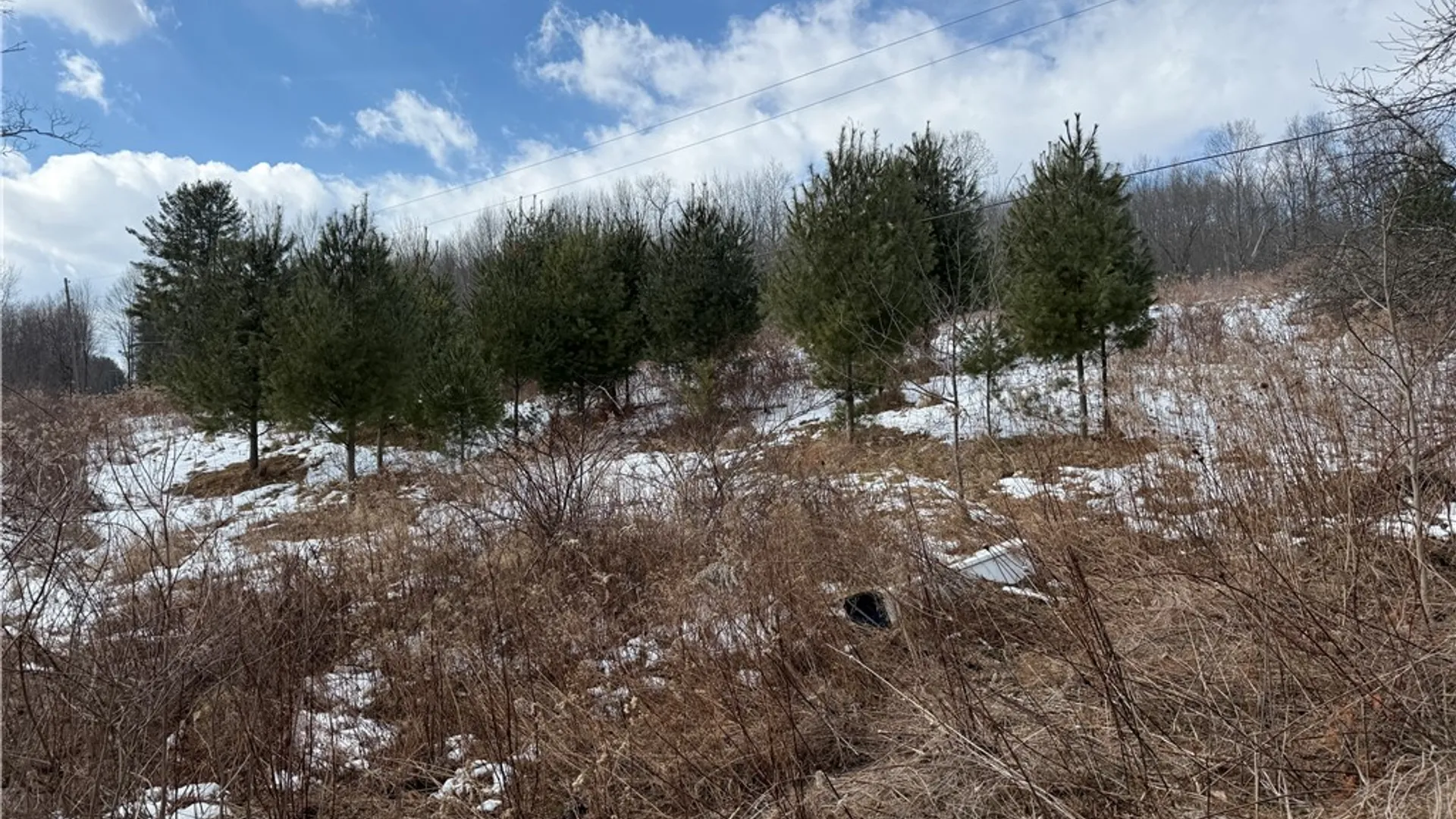 Property at 386 High Bridge Road, Guilford, NY 13809 6