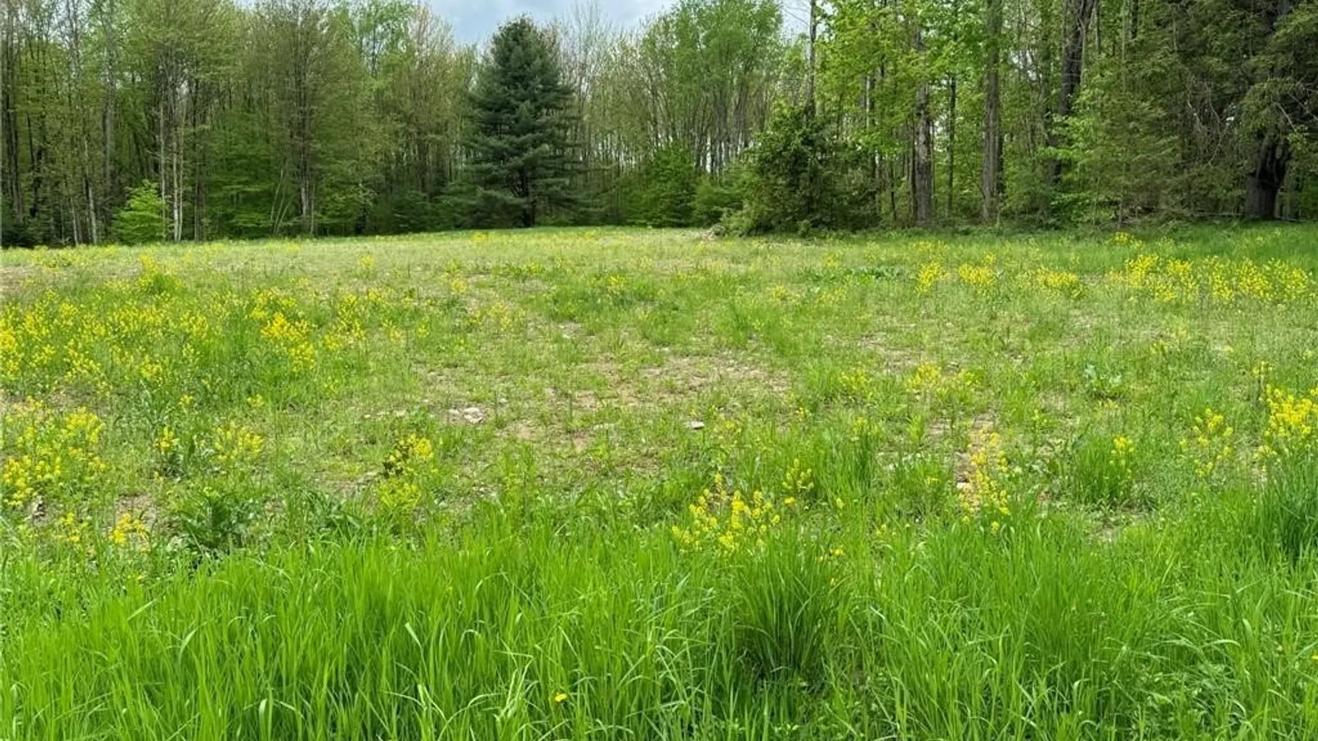 Property at 67 Jacobson Drive, Parish, NY 13131 19