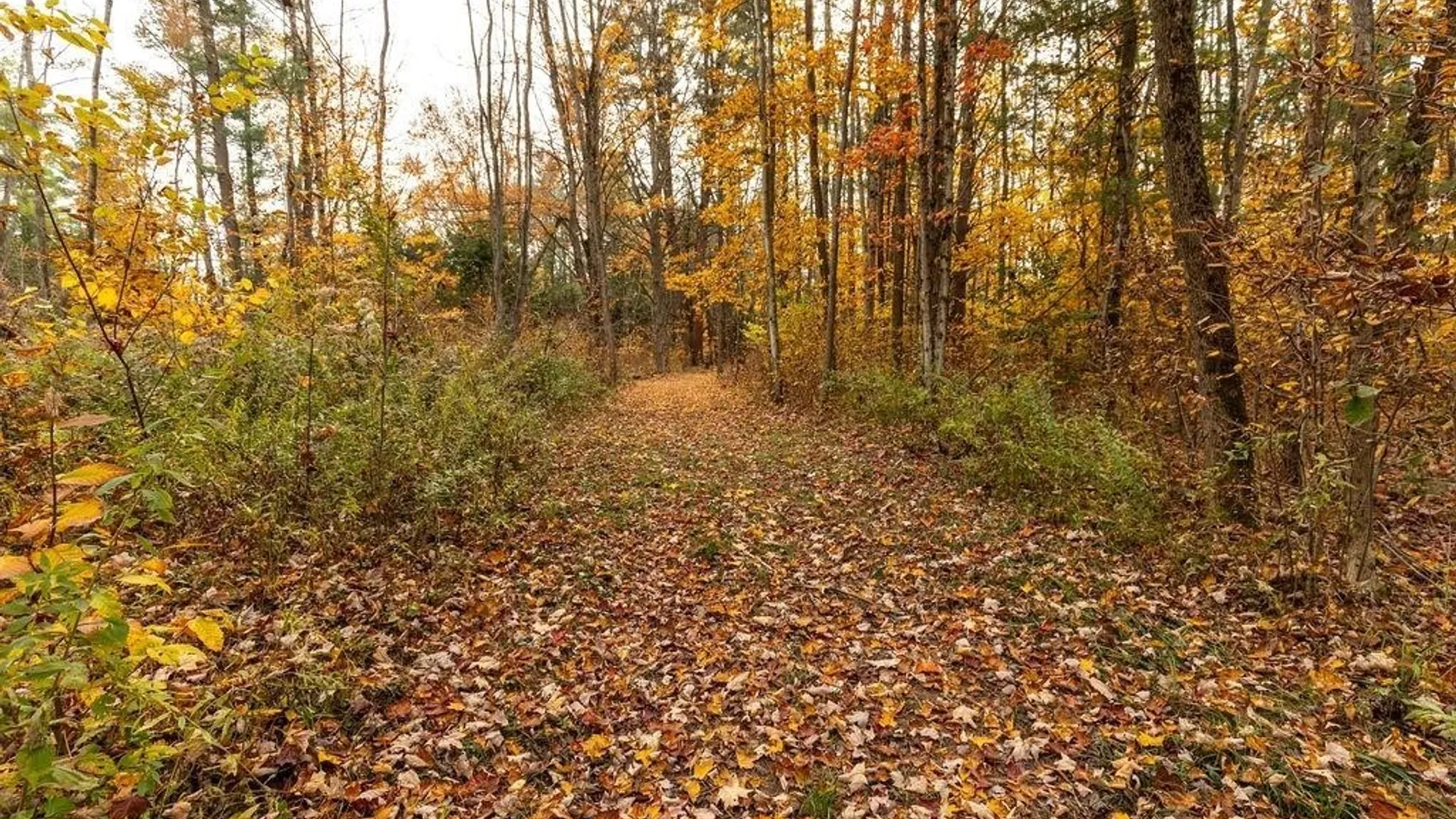 Property at 67 Jacobson Drive, Parish, NY 13131 23