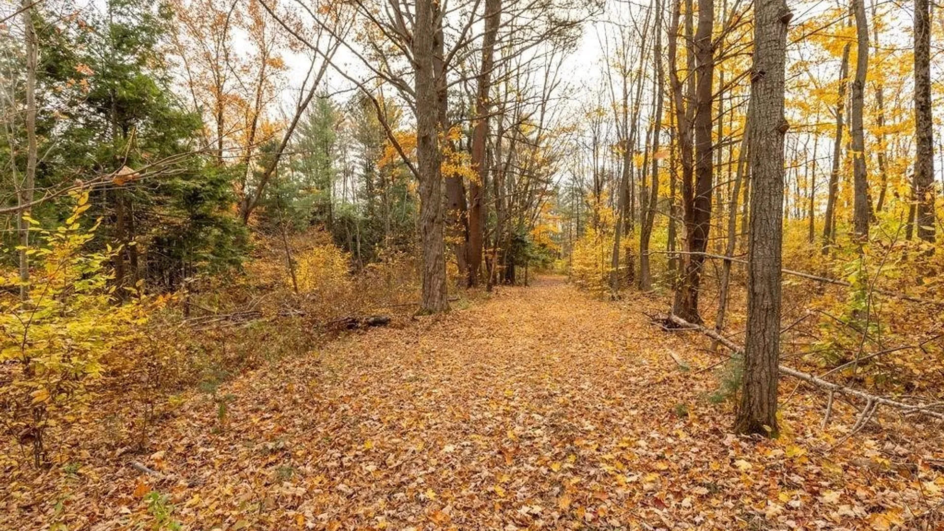 Property at 67 Jacobson Drive, Parish, NY 13131 24