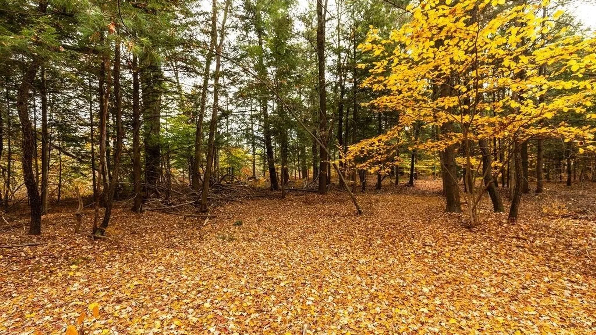 Property at 67 Jacobson Drive, Parish, NY 13131 25