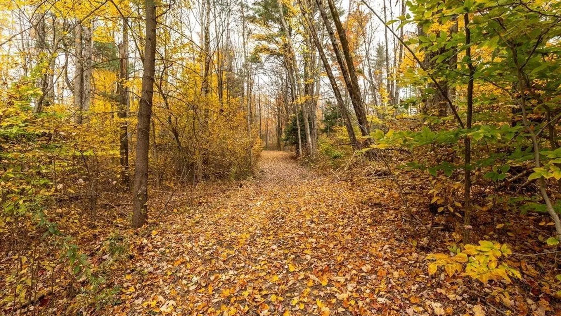 Property at 67 Jacobson Drive, Parish, NY 13131 26