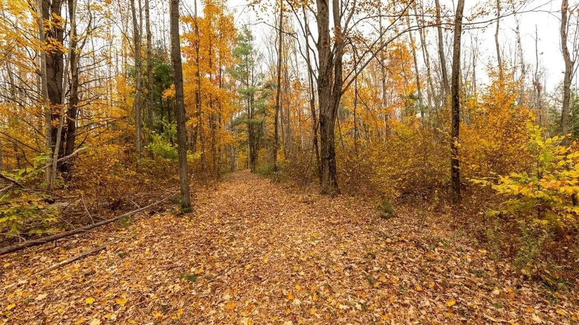 Property at 67 Jacobson Drive, Parish, NY 13131 27