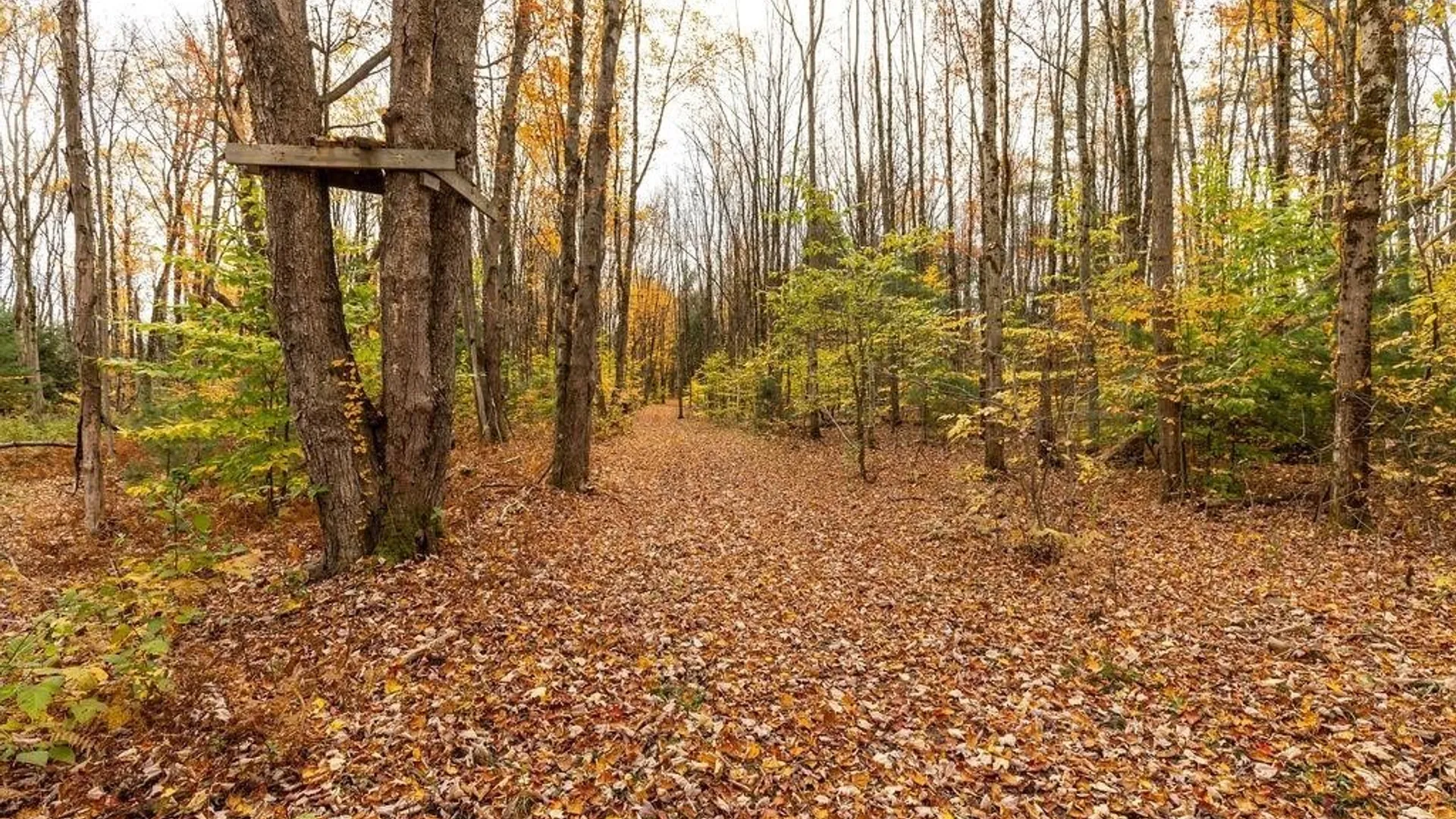 Property at 67 Jacobson Drive, Parish, NY 13131 28