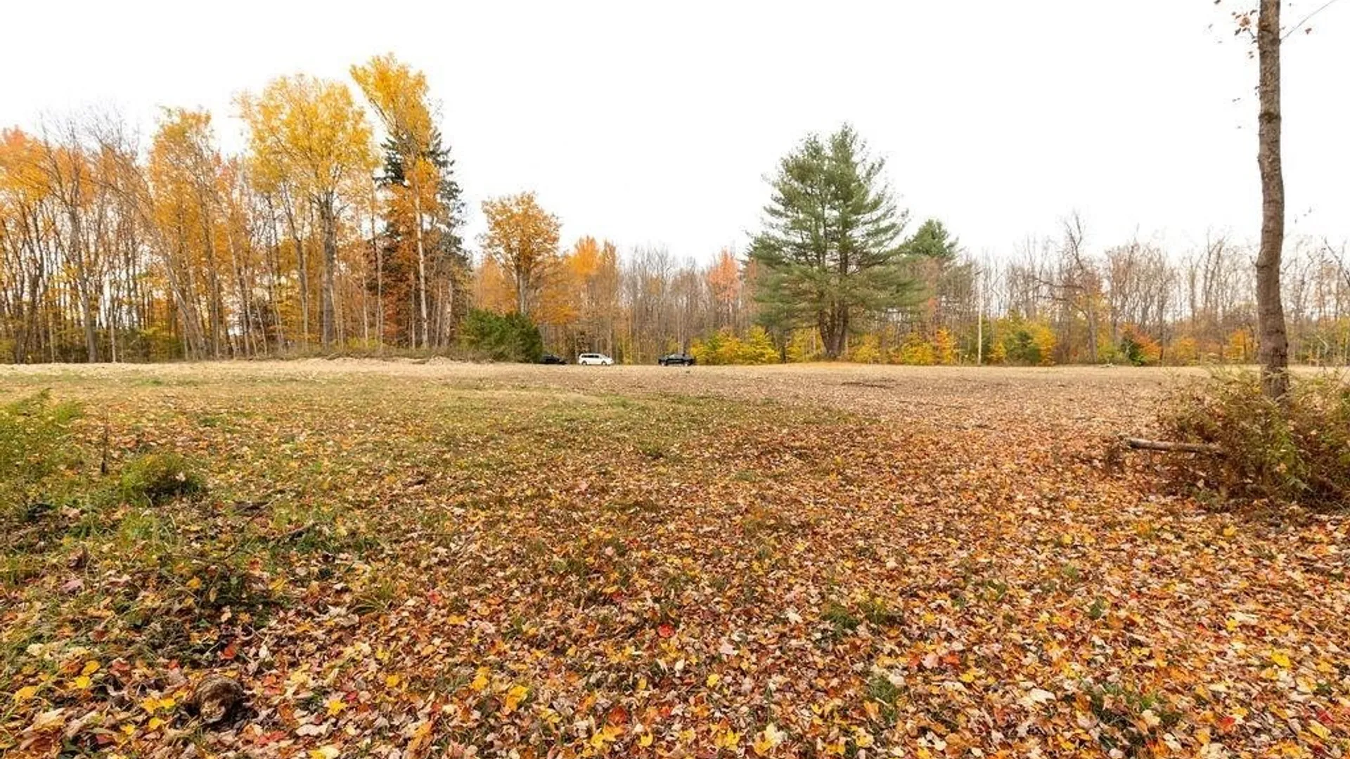 Property at 67 Jacobson Drive, Parish, NY 13131 29