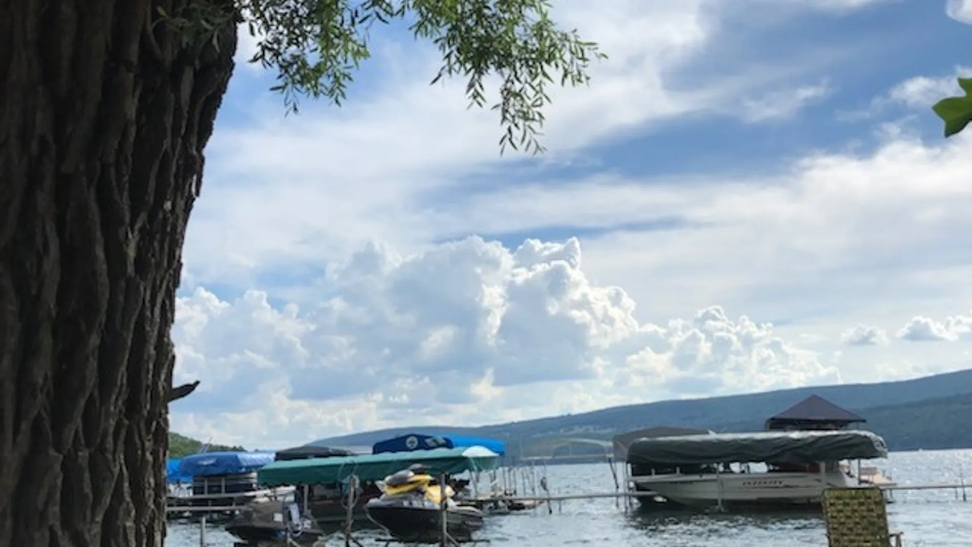 Property at 52 Vine Valley Park, Middlesex, NY 14507 16