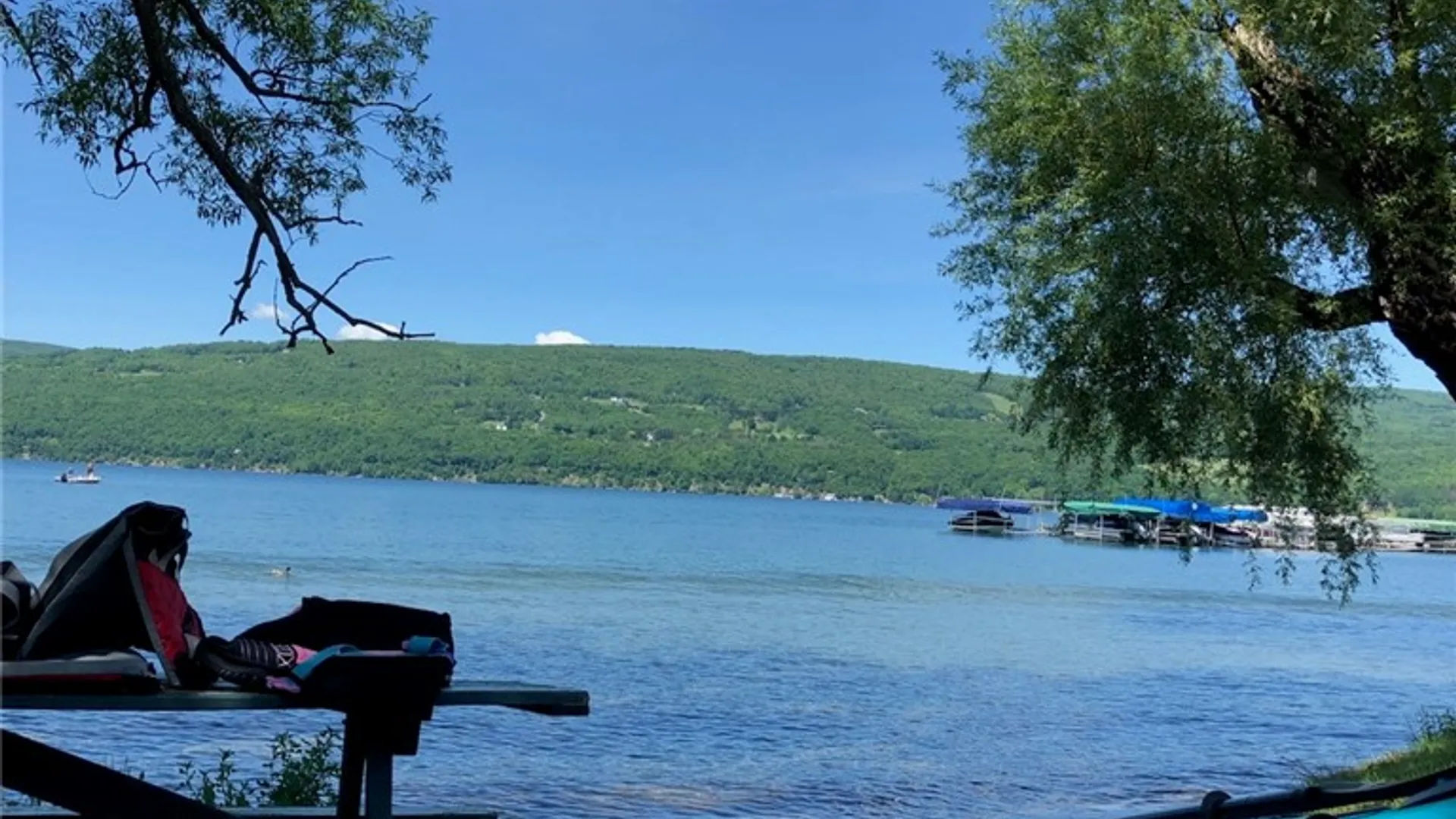 Property at 52 Vine Valley Park, Middlesex, NY 14507 35