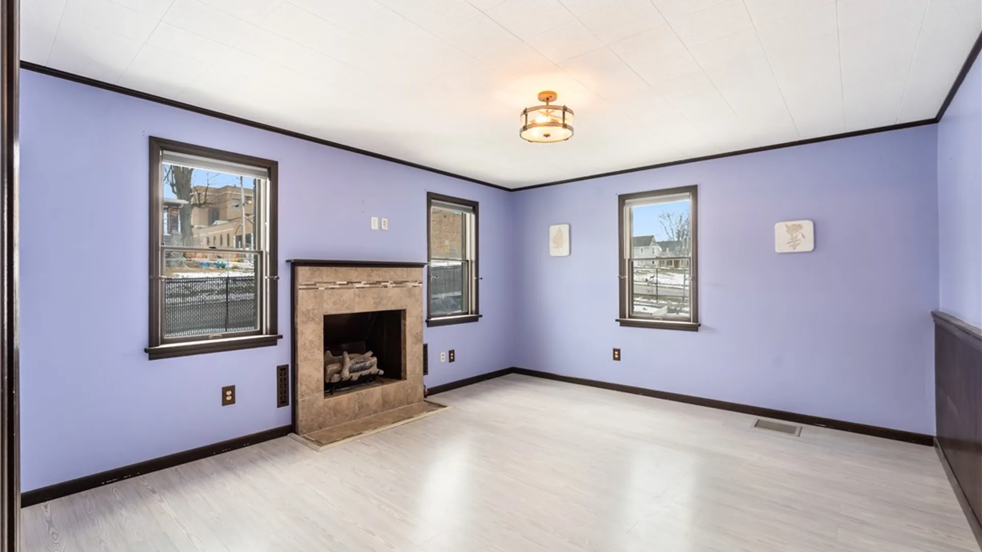 Property at 12 Branch Street, Livonia, NY 14487 23