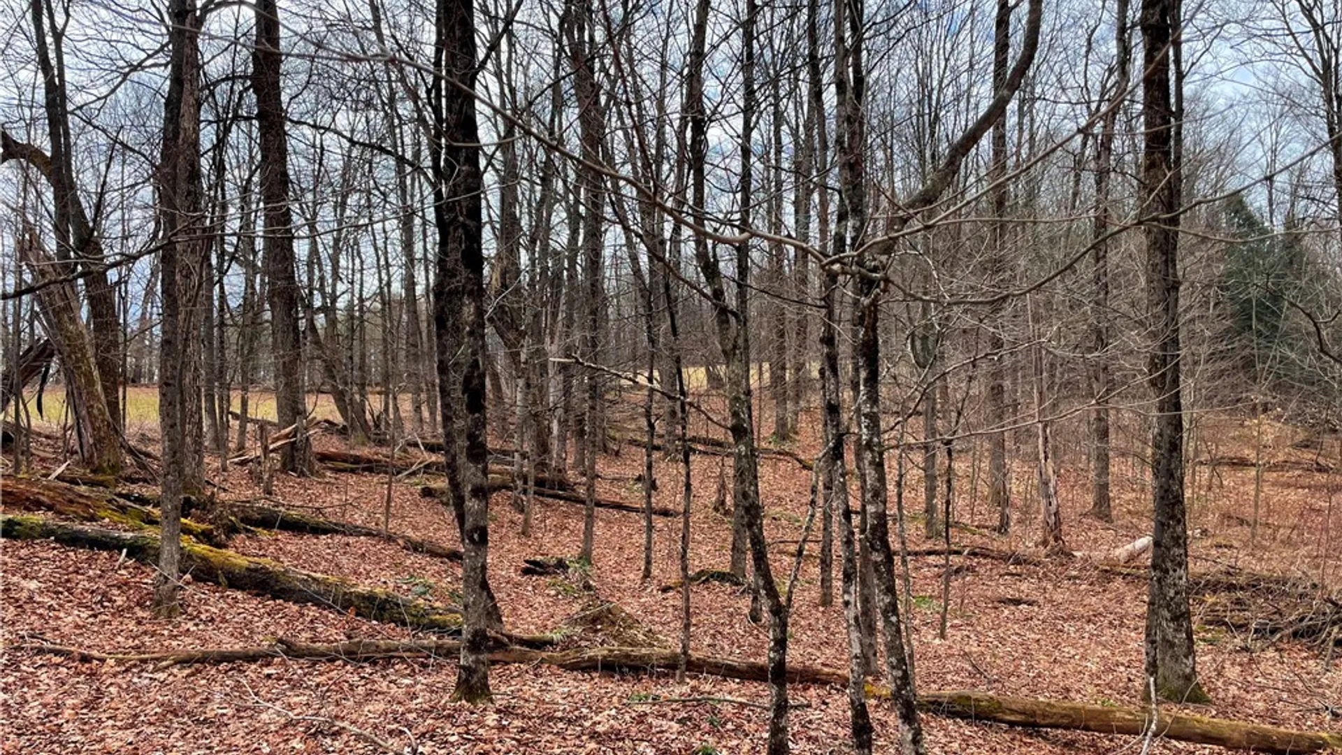 Property at 1017 Humphrey Road, Hamilton, NY 13346 41