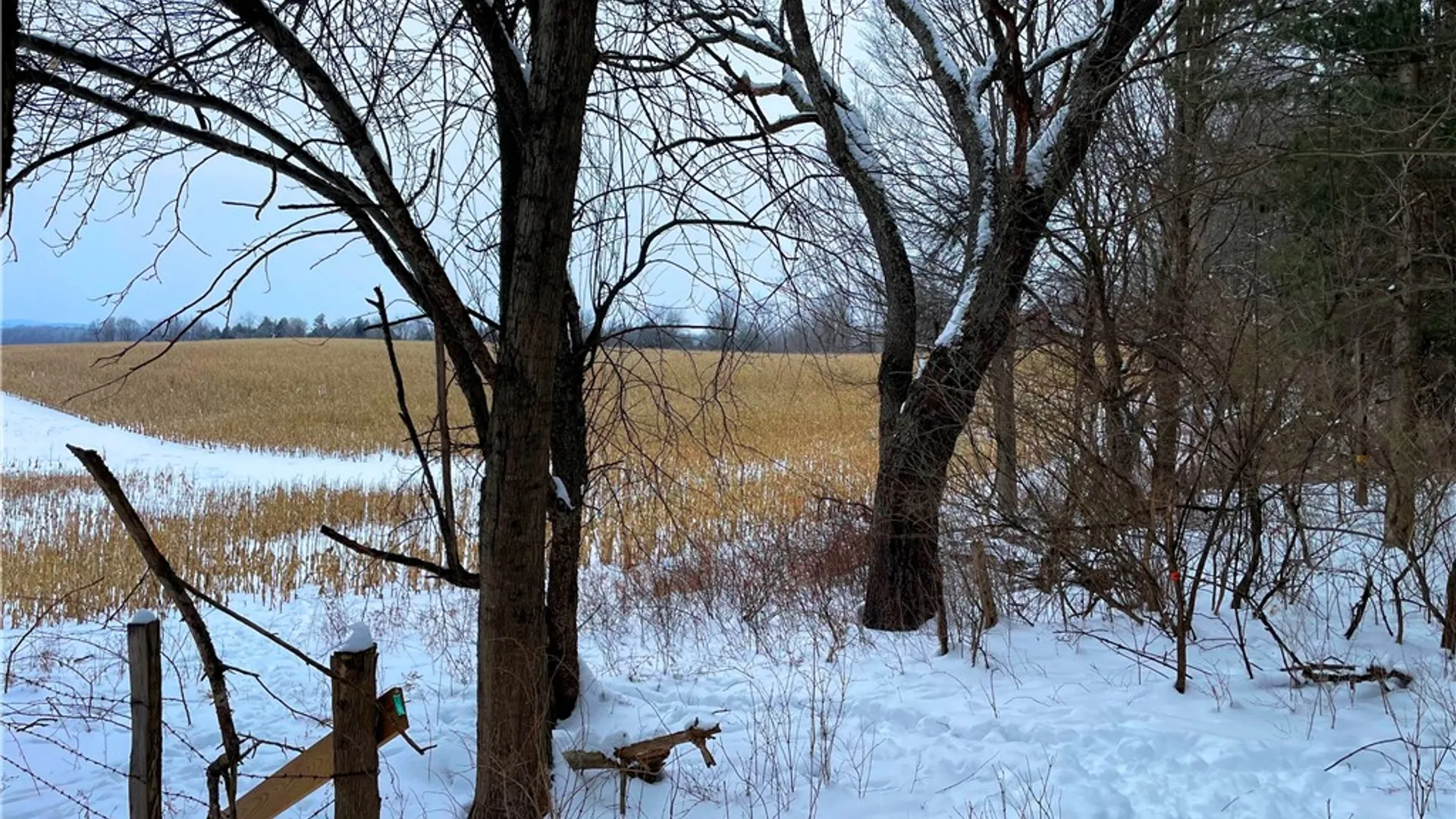 Property at 1017 Humphrey Road, Hamilton, NY 13346 45