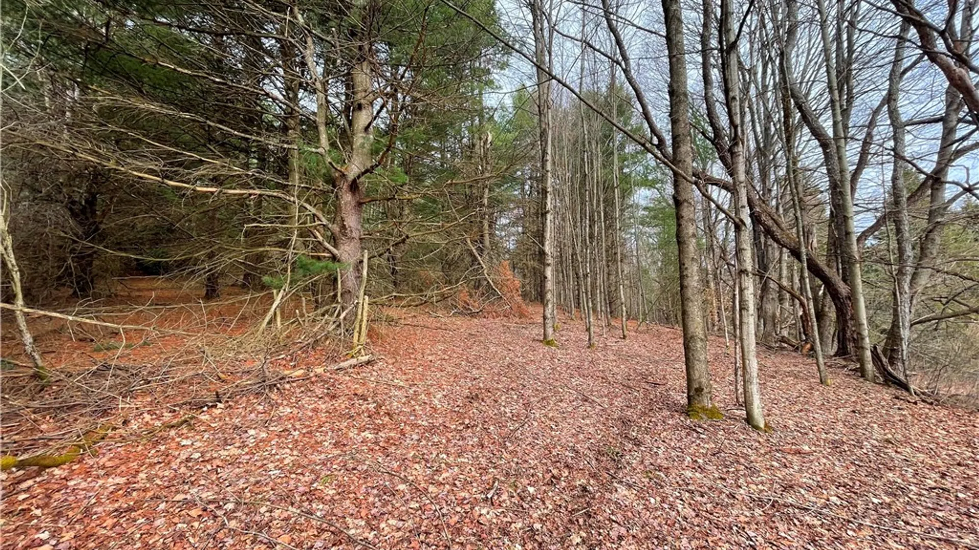 Property at 1017 Humphrey Road, Hamilton, NY 13346 46