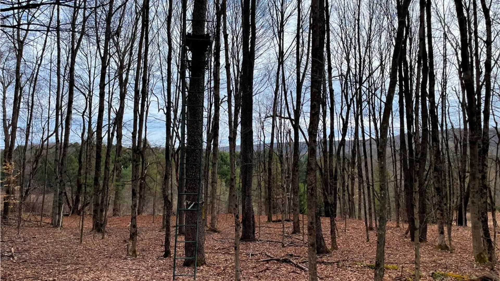 Property at 1017 Humphrey Road, Hamilton, NY 13346 48