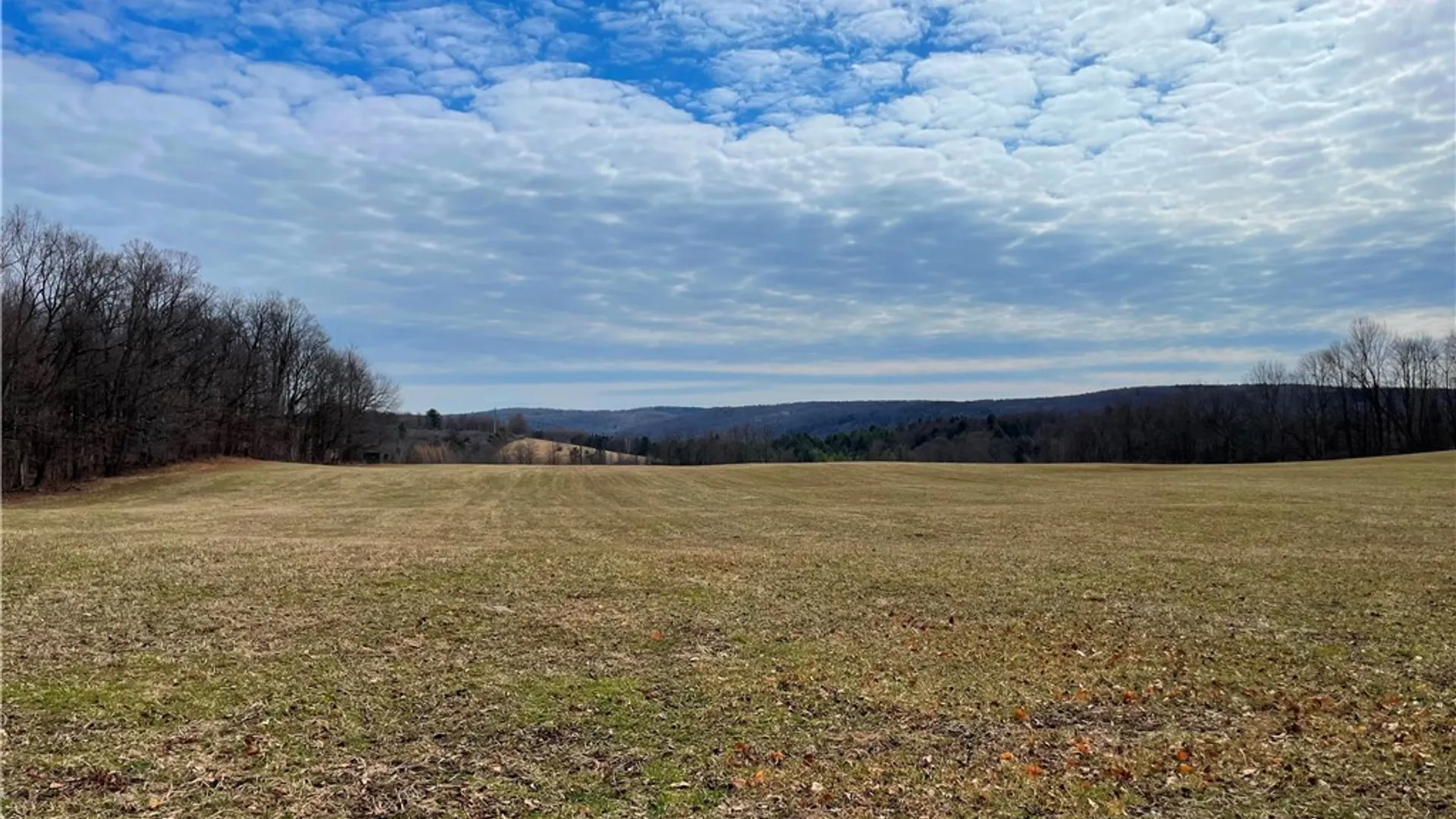 Property at 1017 Humphrey Road, Hamilton, NY 13346 8