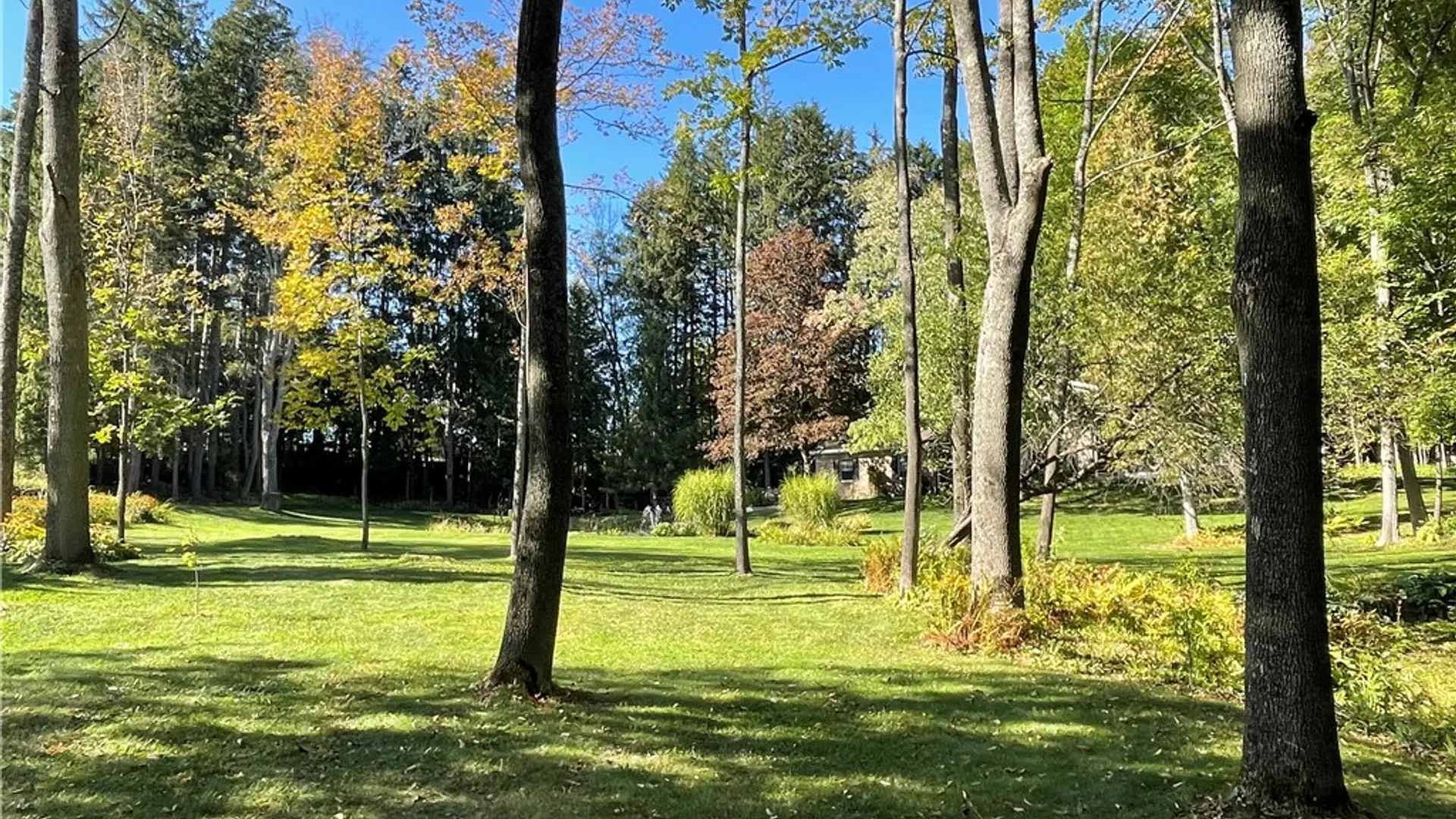 Property at 254 County Road 44, Plymouth, NY 13815 48