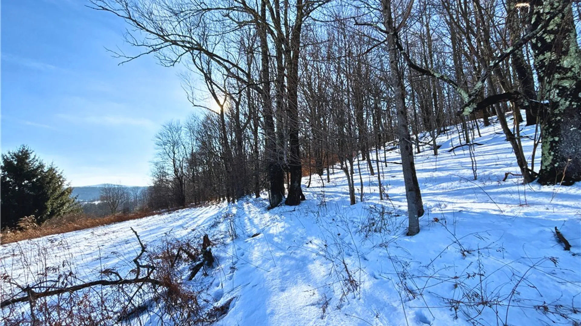 Property at Lot 41 Hamden Hill Road, Hamden, NY 13782 17