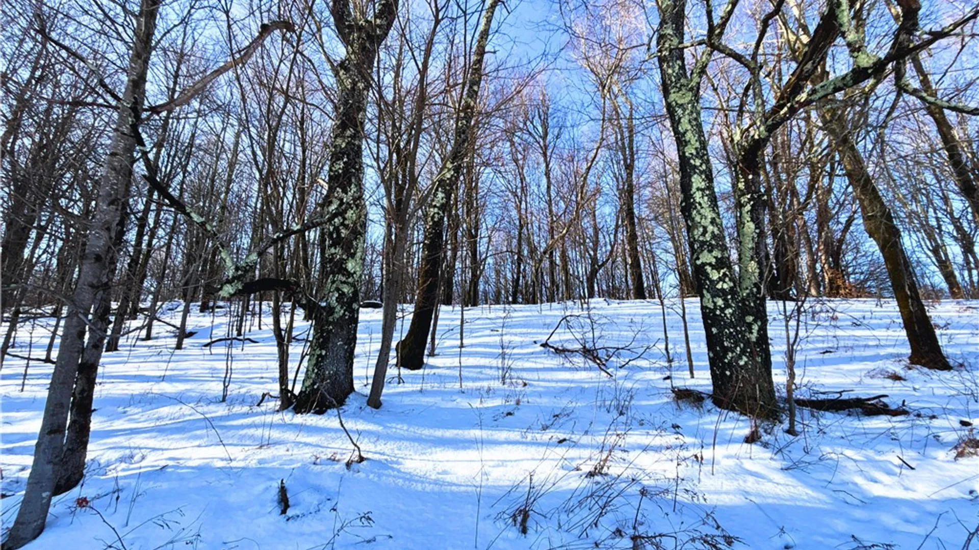 Property at Lot 41 Hamden Hill Road, Hamden, NY 13782 18